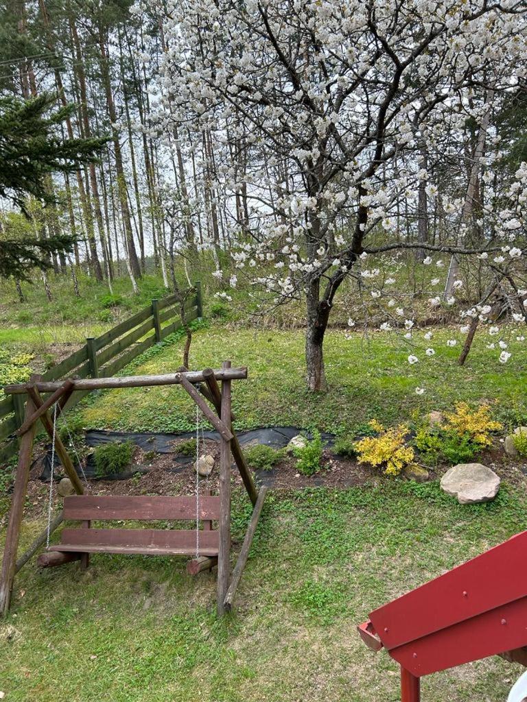 Photo 22