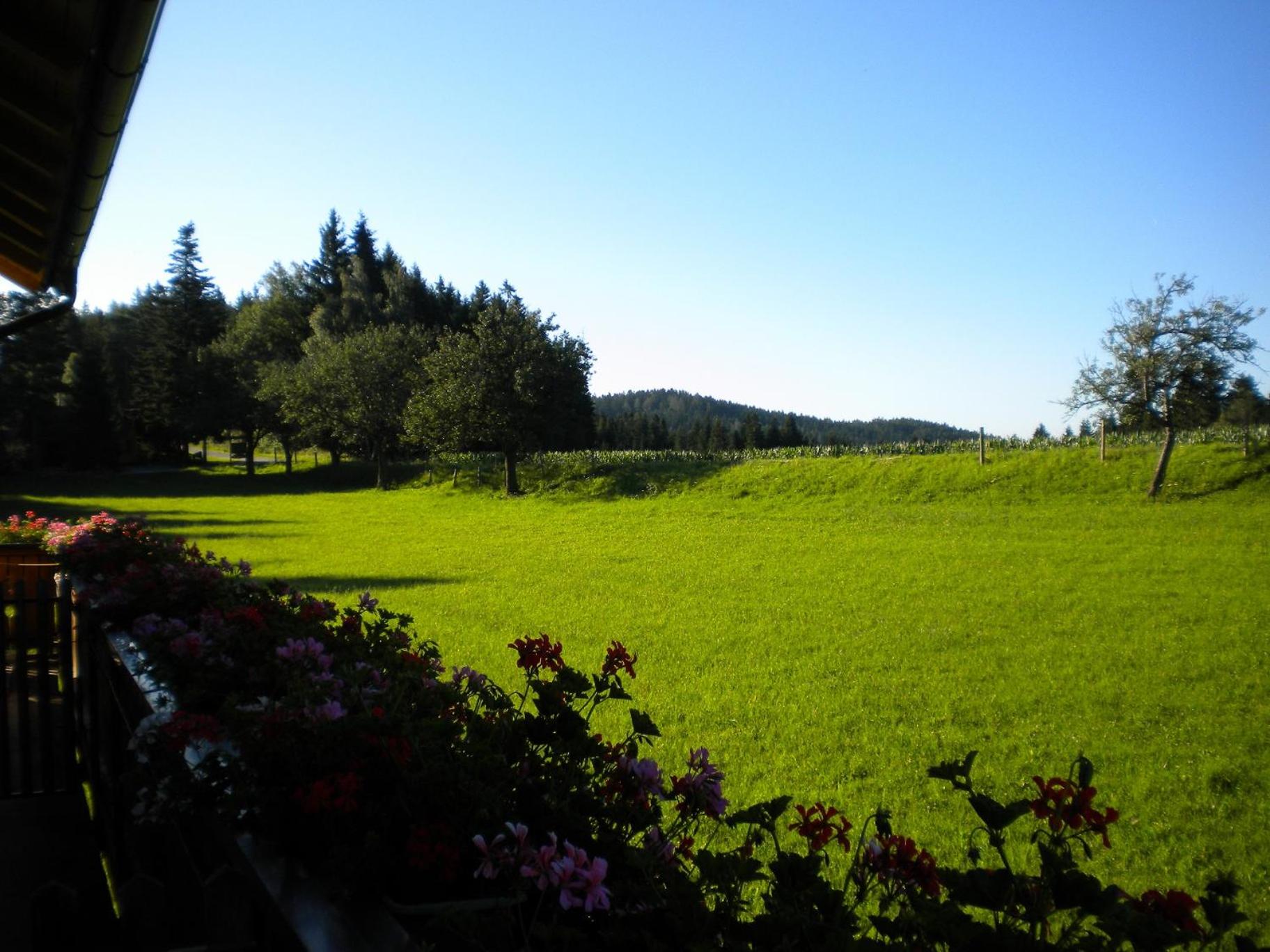 Urlaub am Bauernhof Familie Kitting