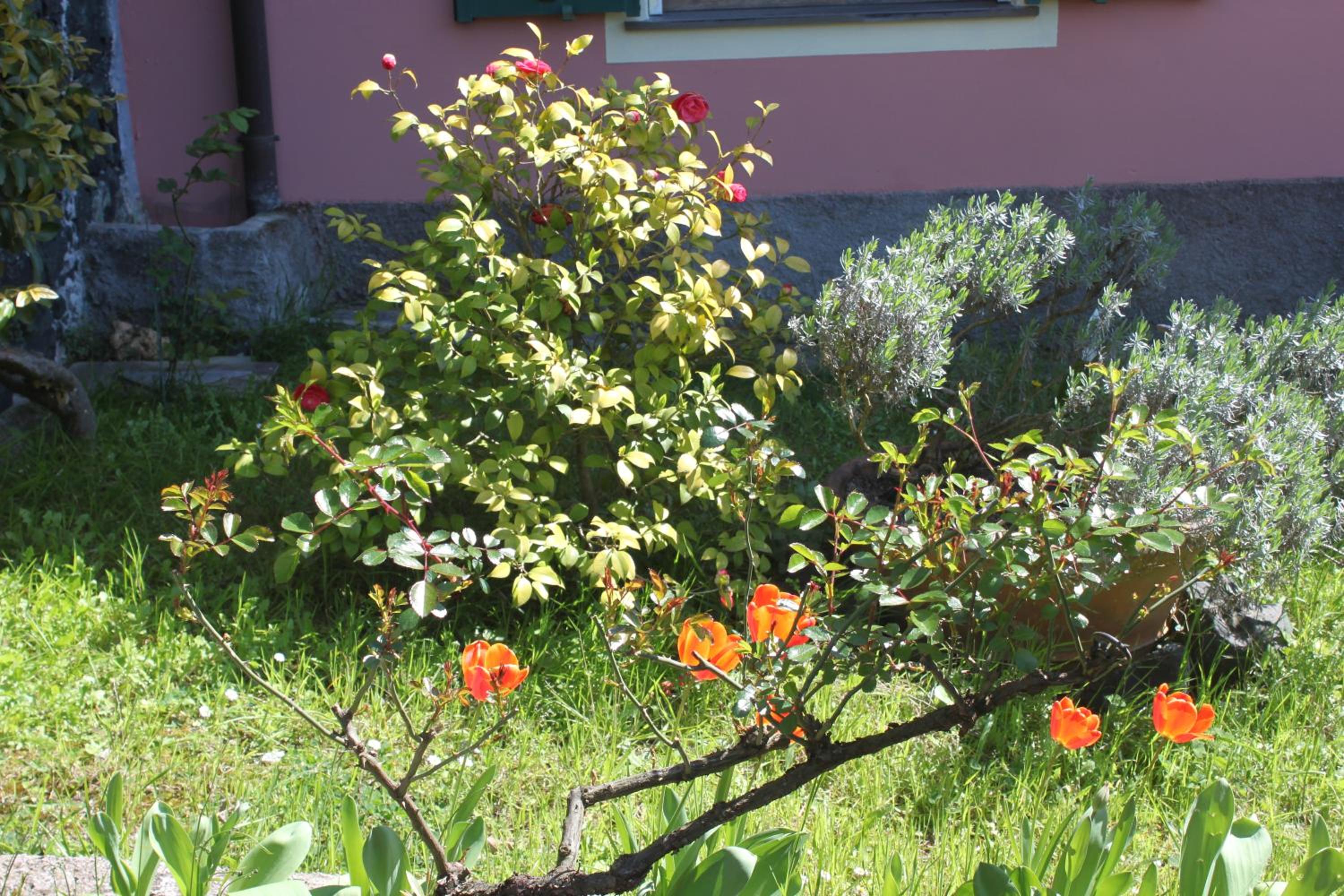 Le Ginestre view 3