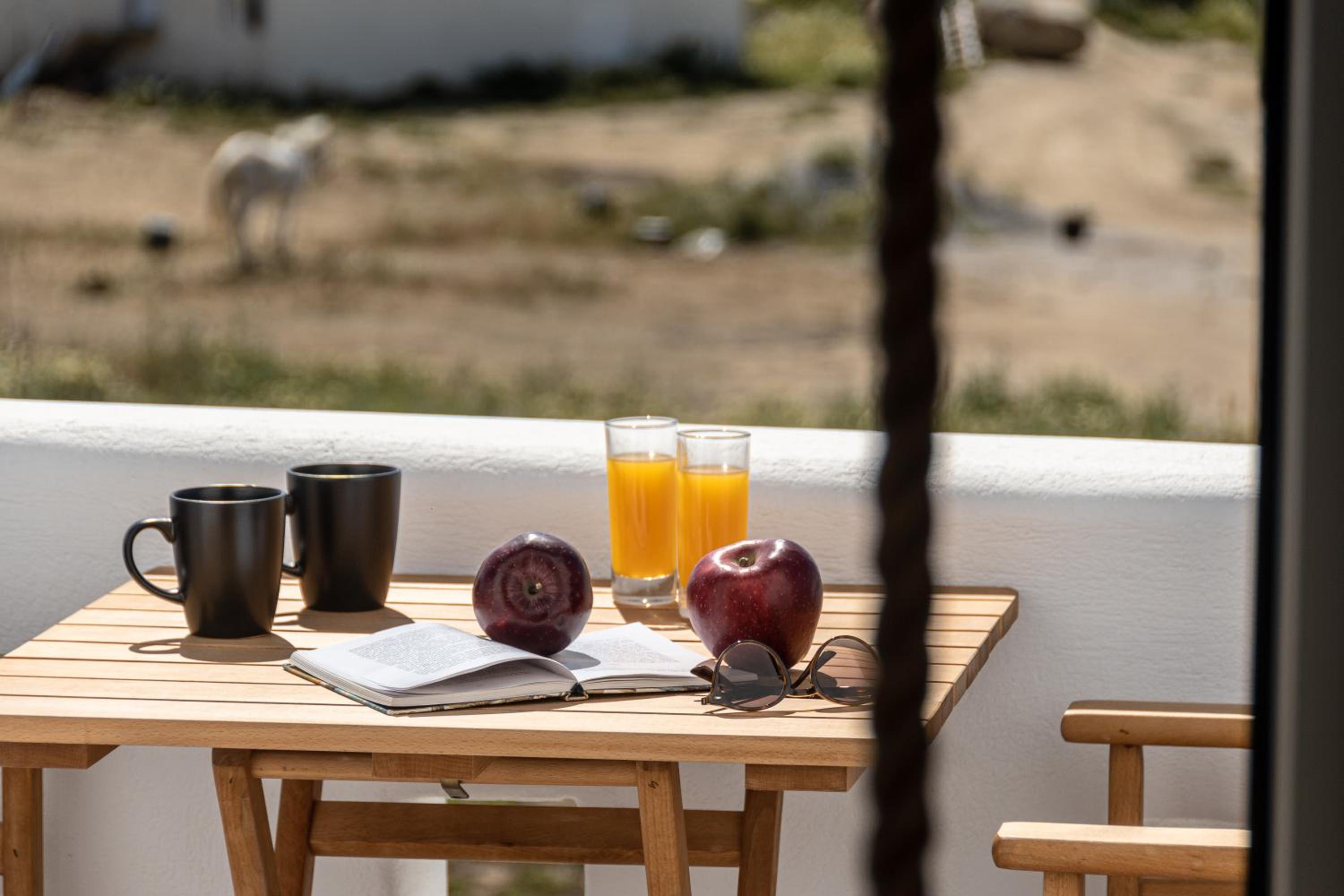 Sunshine Plaka Naxos
