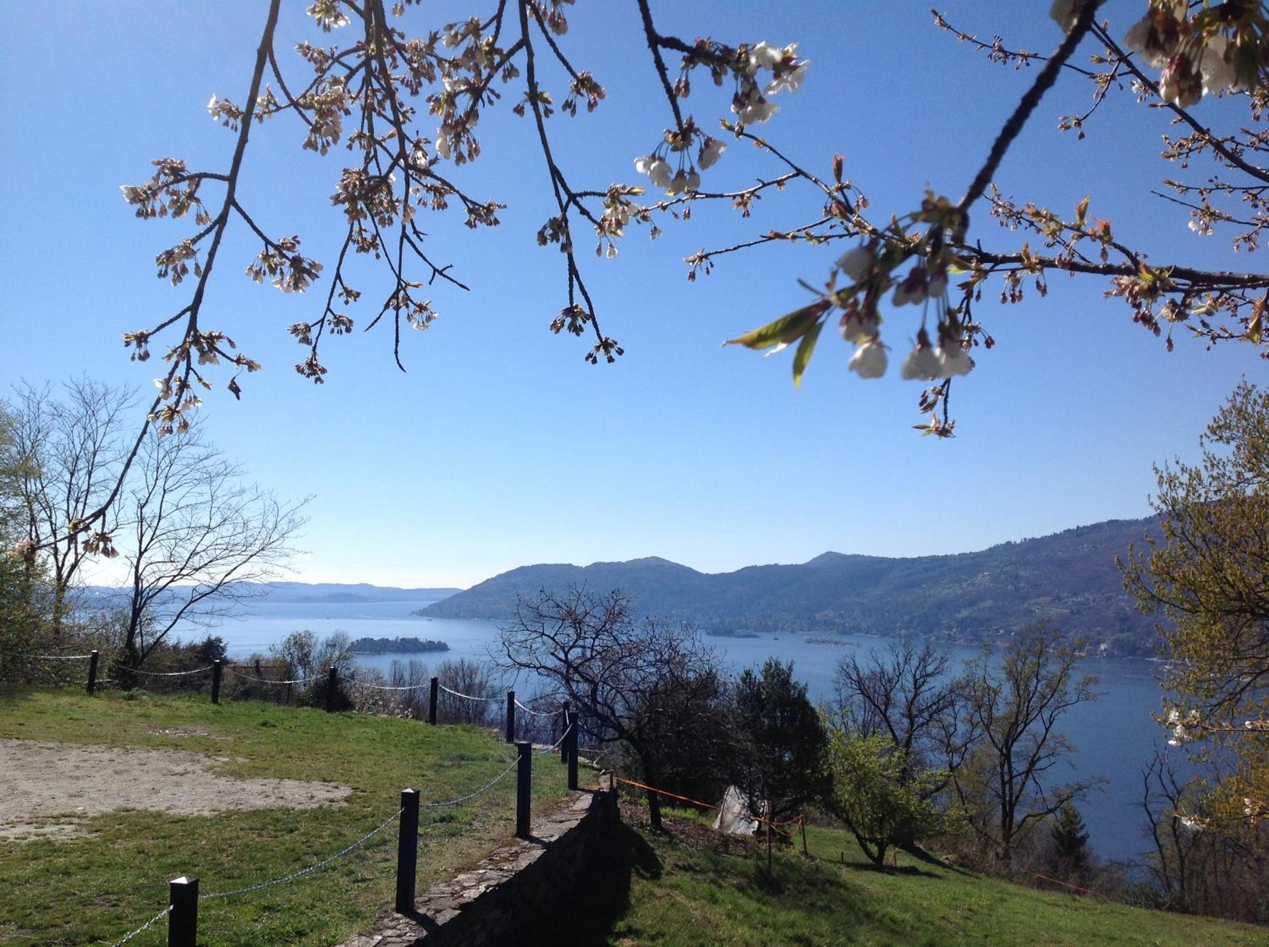 Il Ciliegio Selvatico view 2