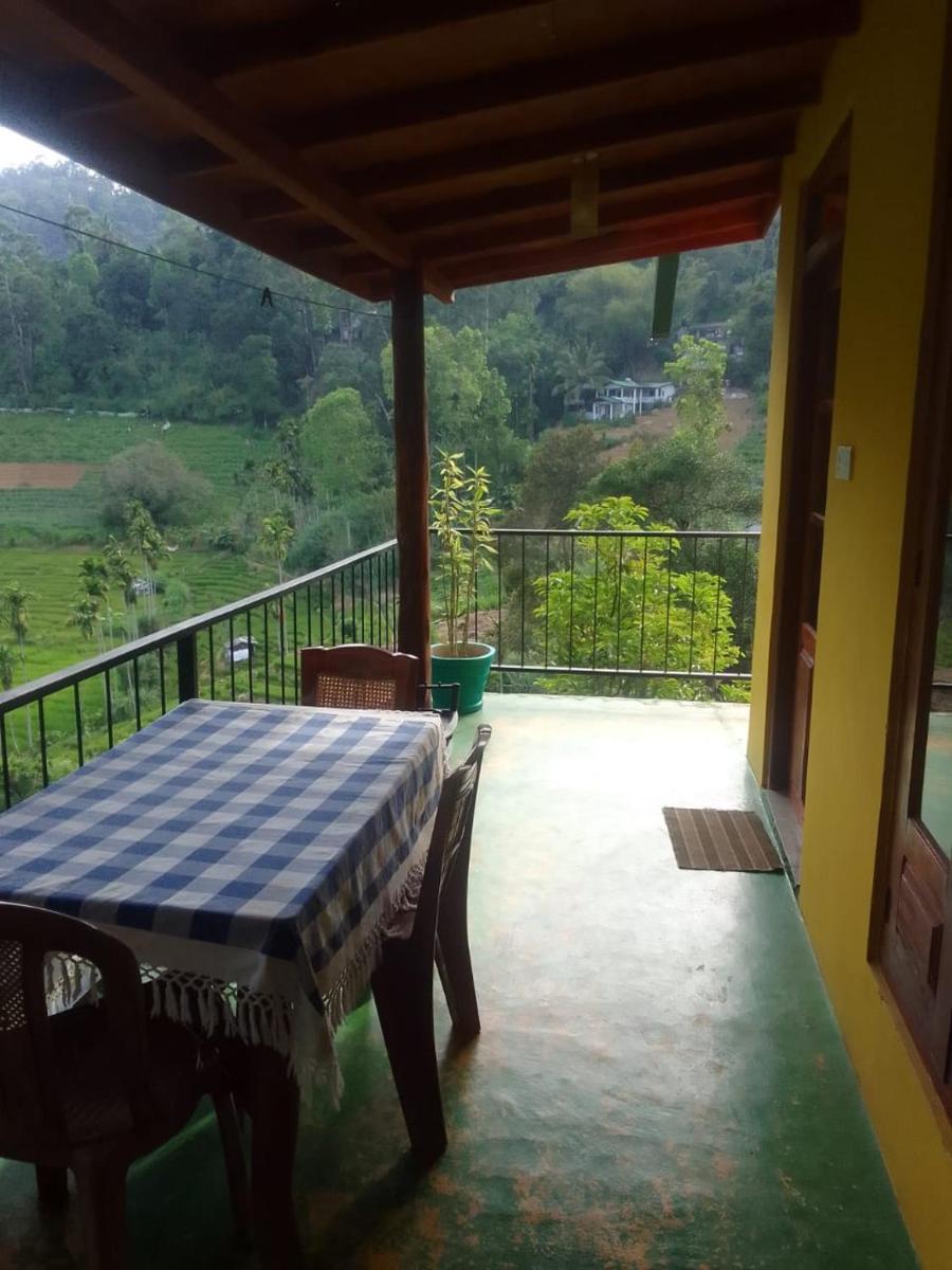 Silent Nest view 3