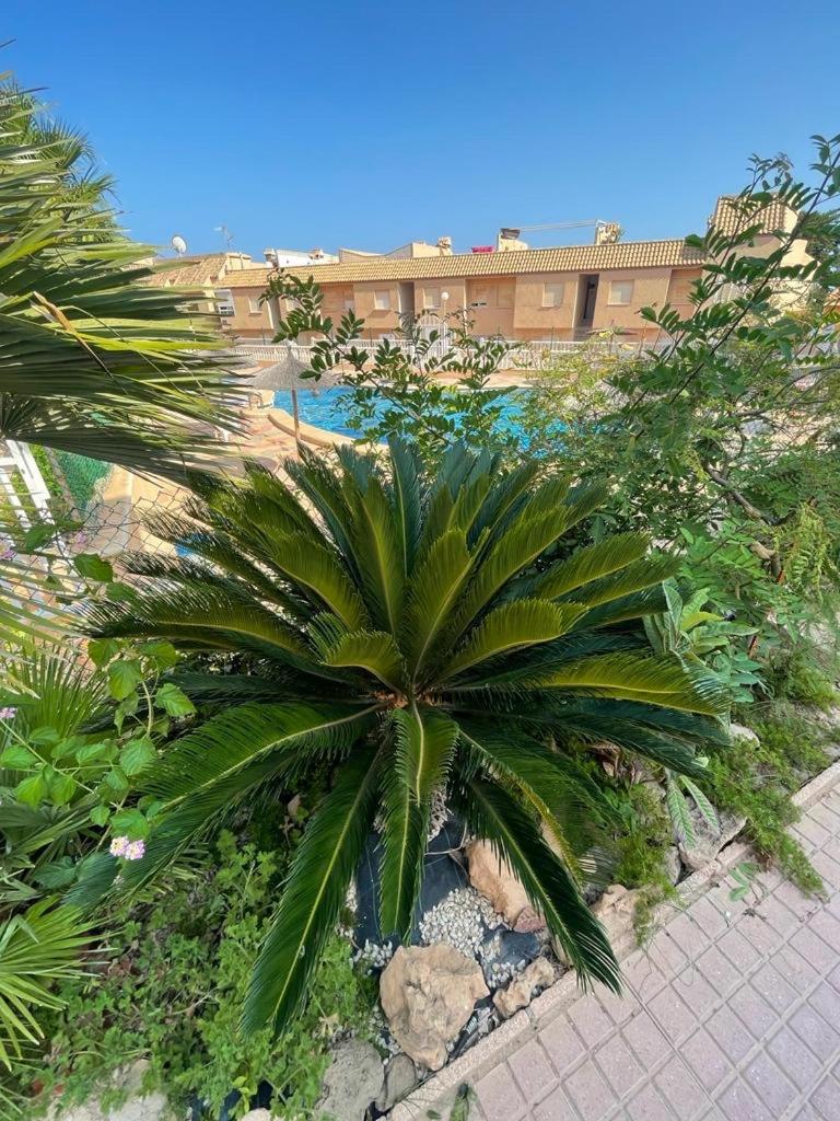 Apartament La Mata Torrevieja photo 3
