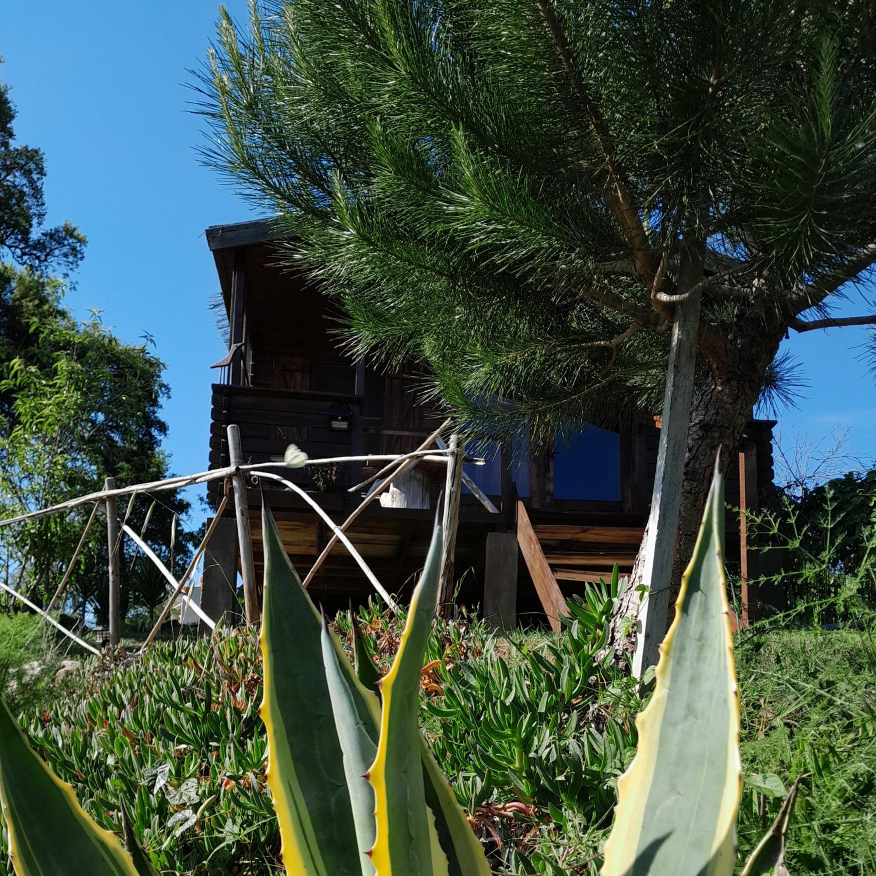 Hotel Casa do Sobreiro 2 - Image 1