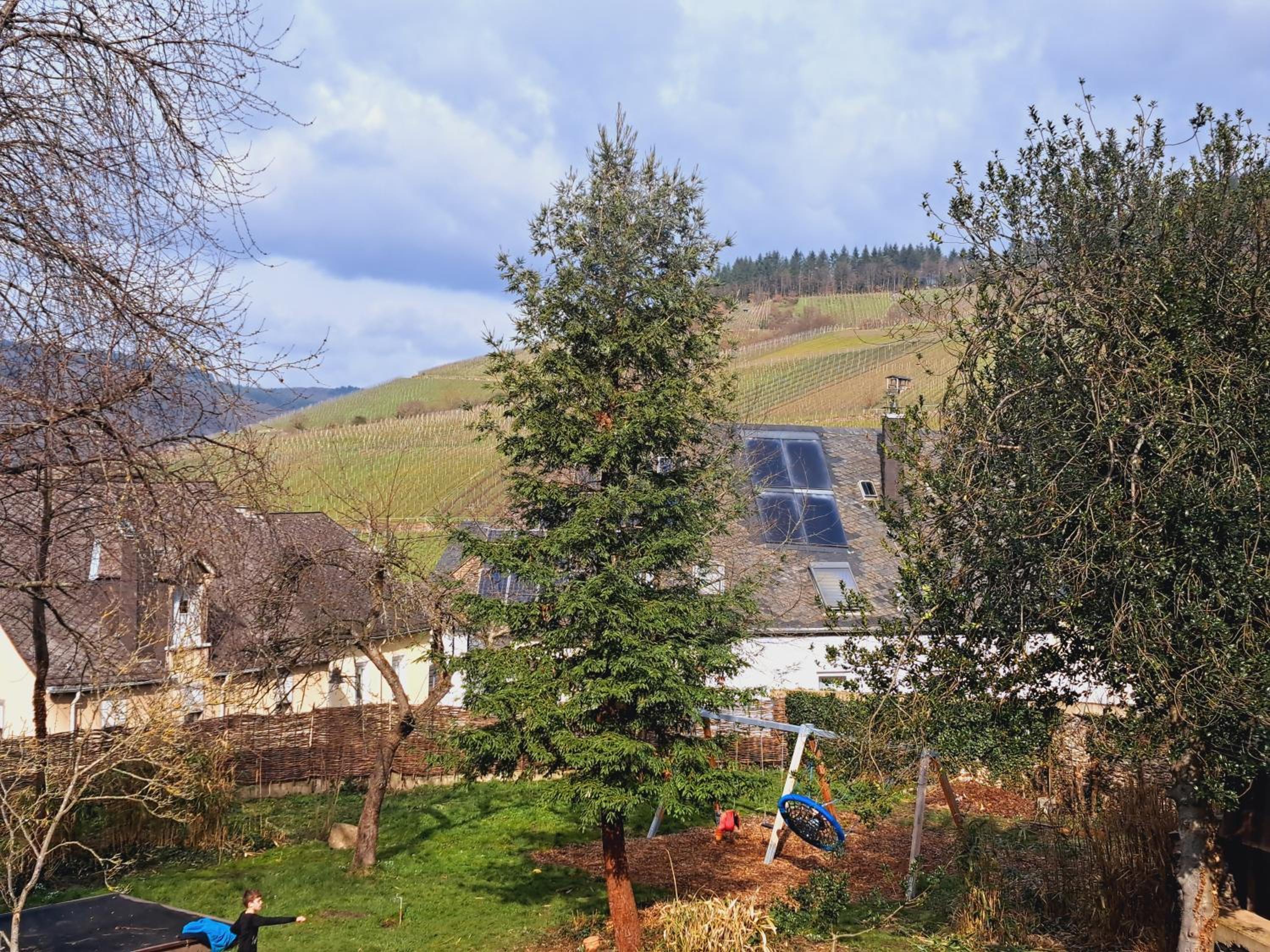 Haus Moselwald - 3 bedrooms