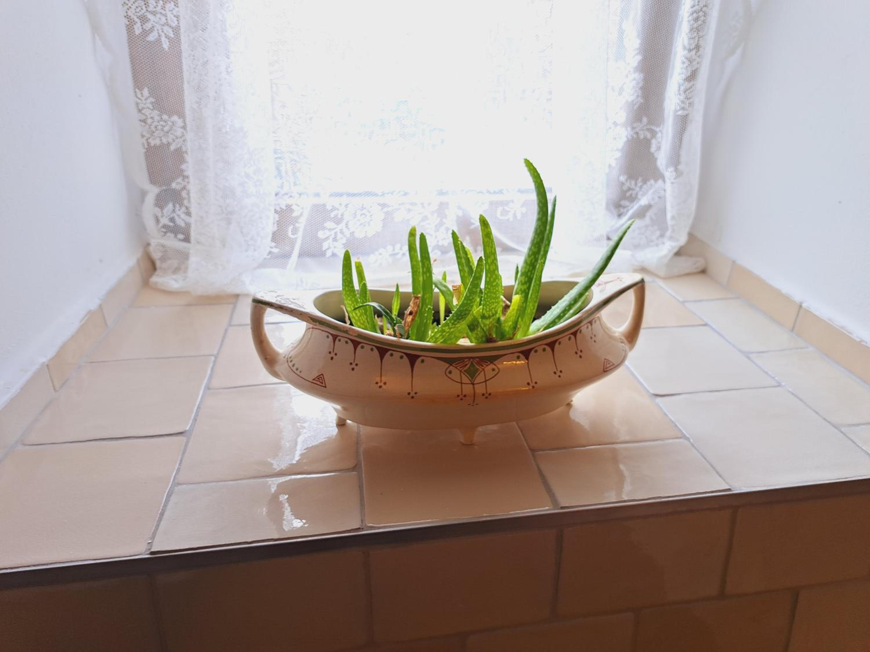 Haus Moselwald - 3 bedrooms