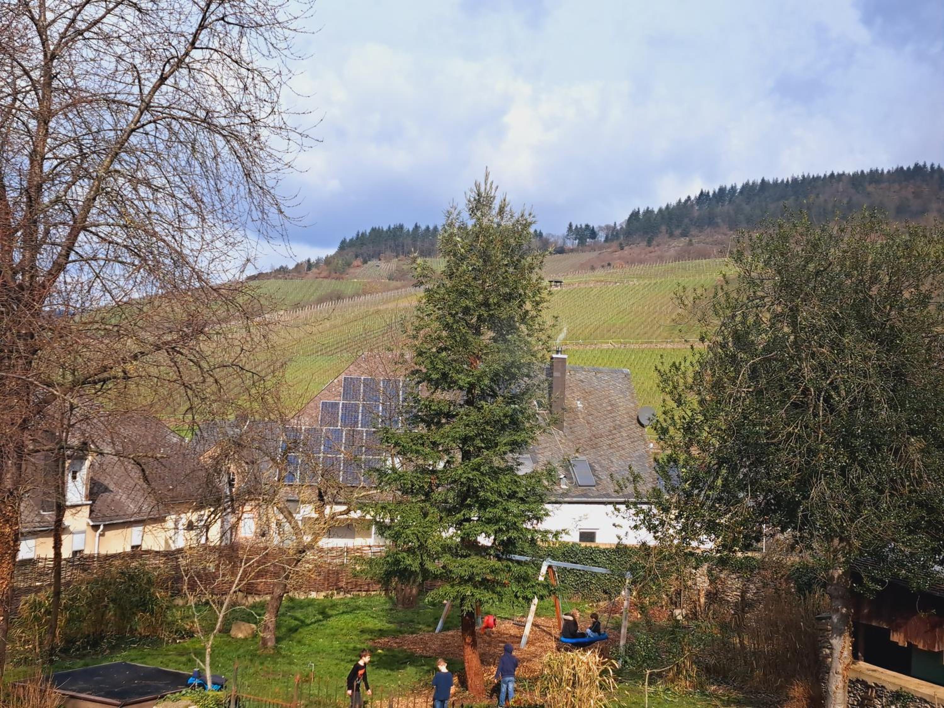 Haus Moselwald - 3 bedrooms