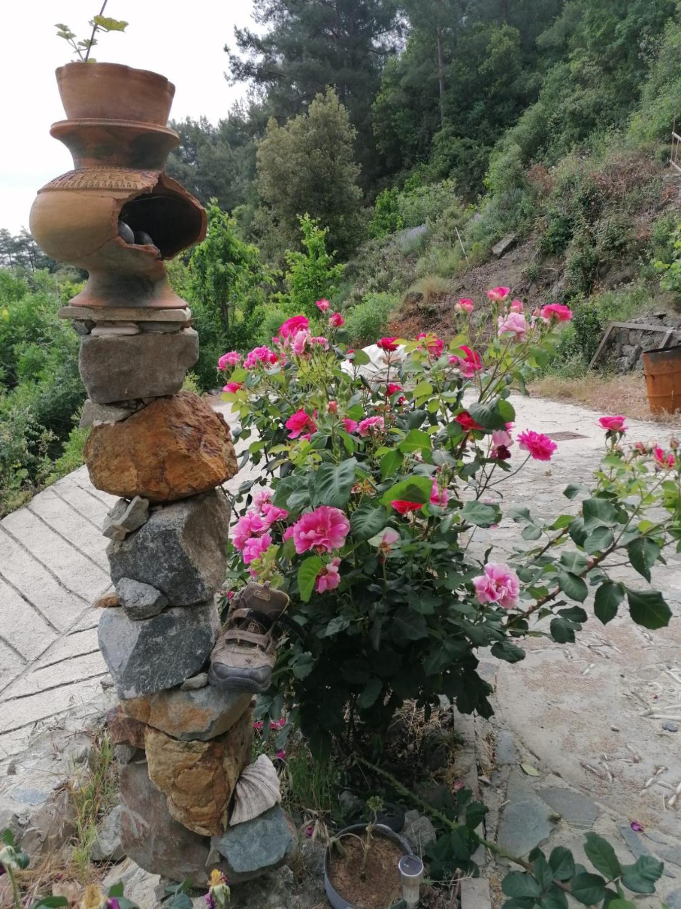 Mountain View 2BR House with Garden & Free Parking Ioannis Ylation Saranti