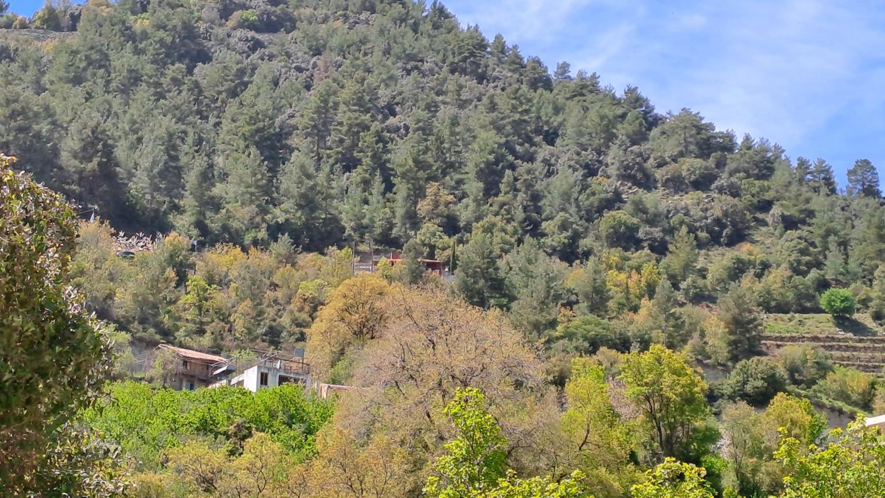 Mountain View 2BR House with Garden & Free Parking Ioannis Ylation Saranti