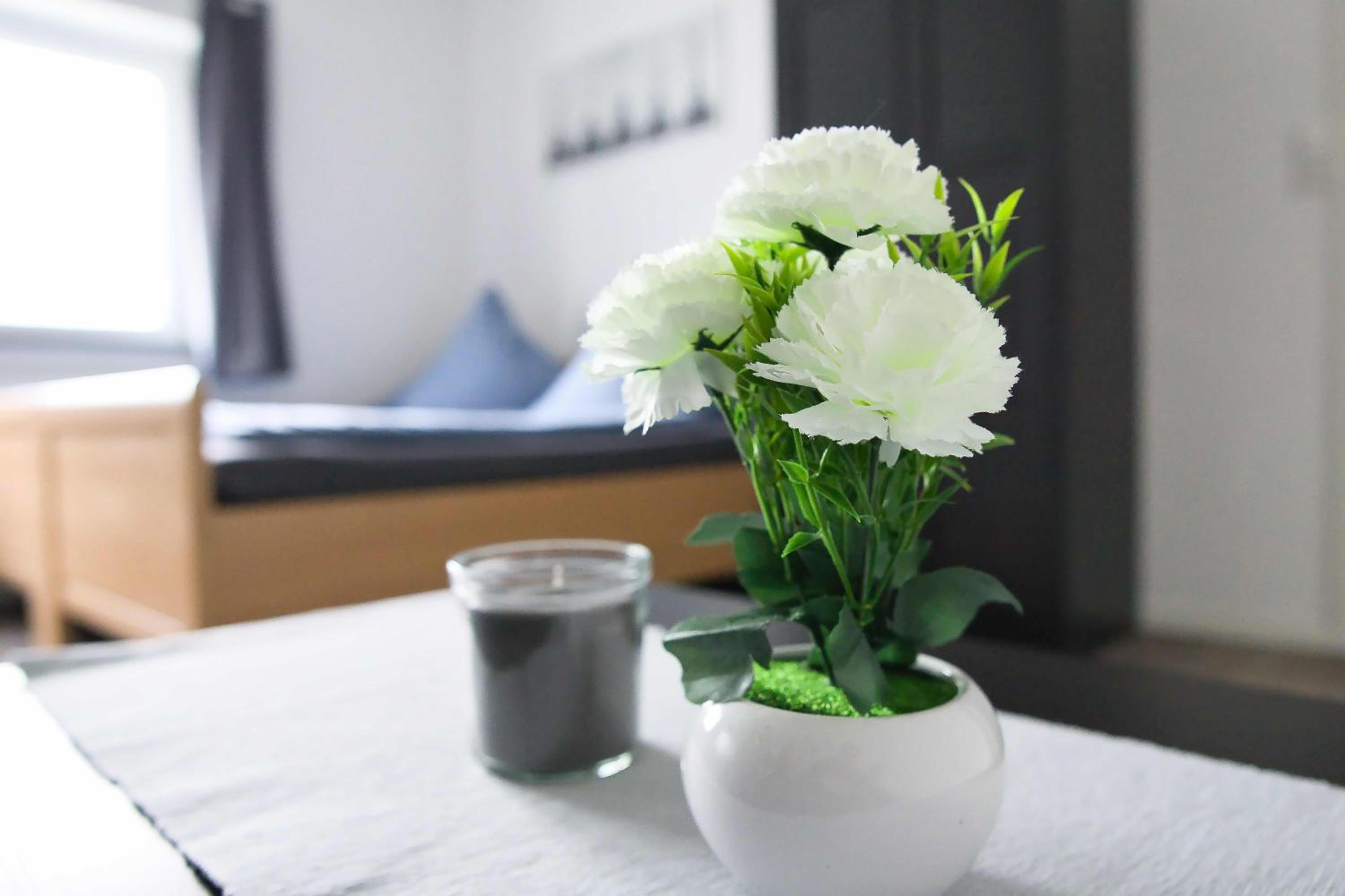 Heide Ferienwohnung Süd Nr-2
