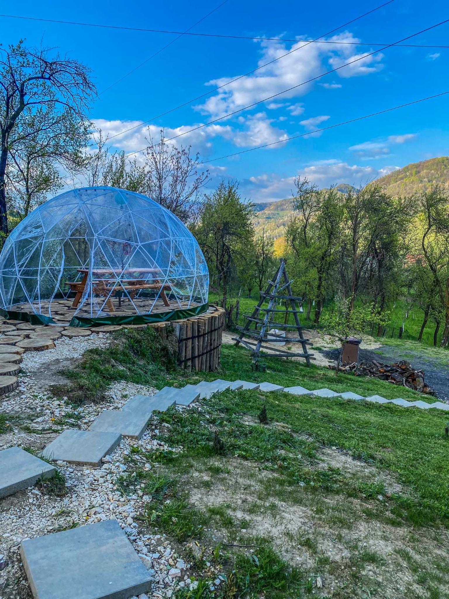 Casuta Nest view 2