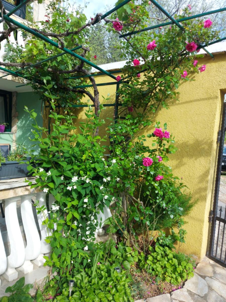 Photo 11