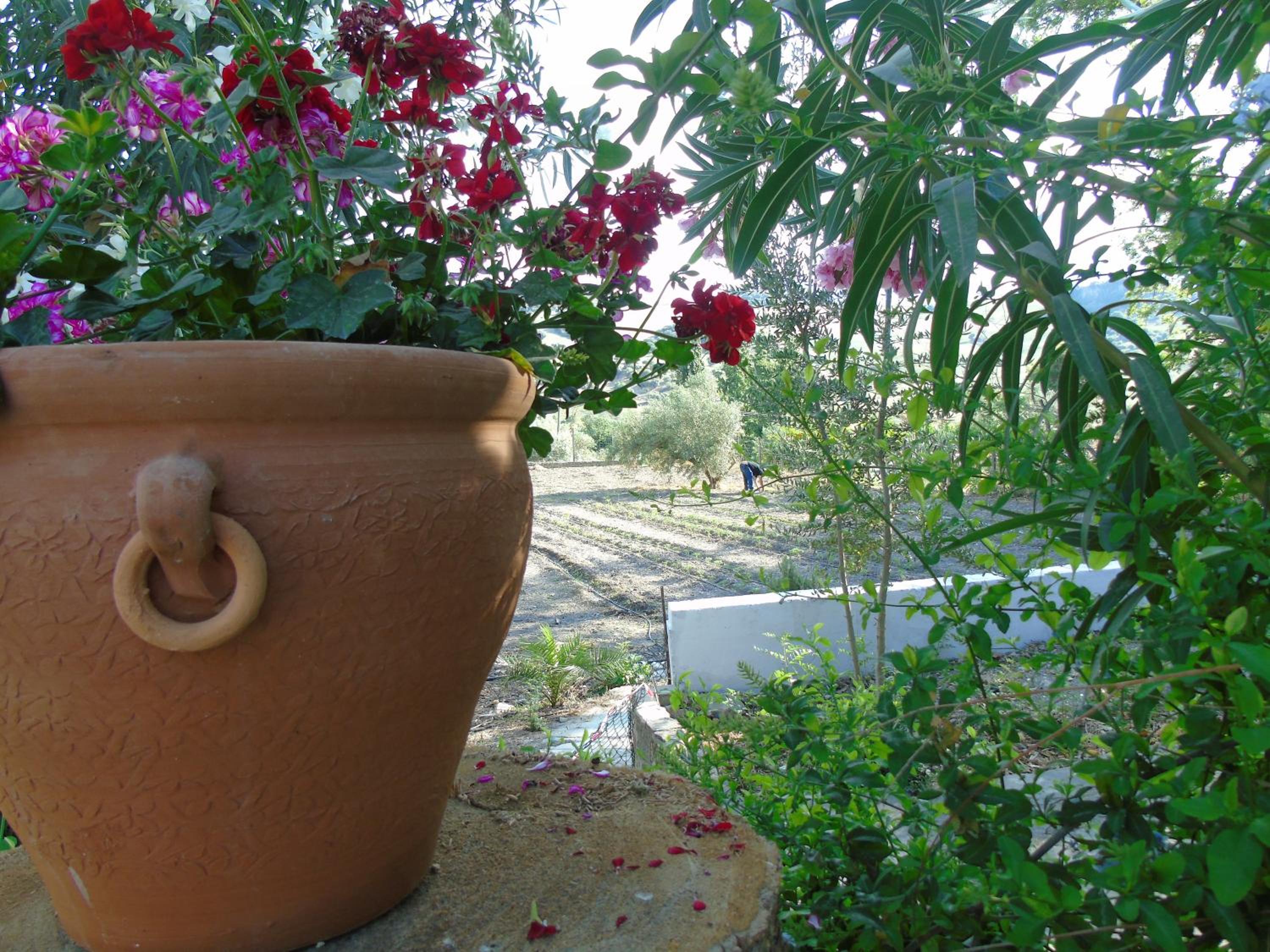 Casa El Molino