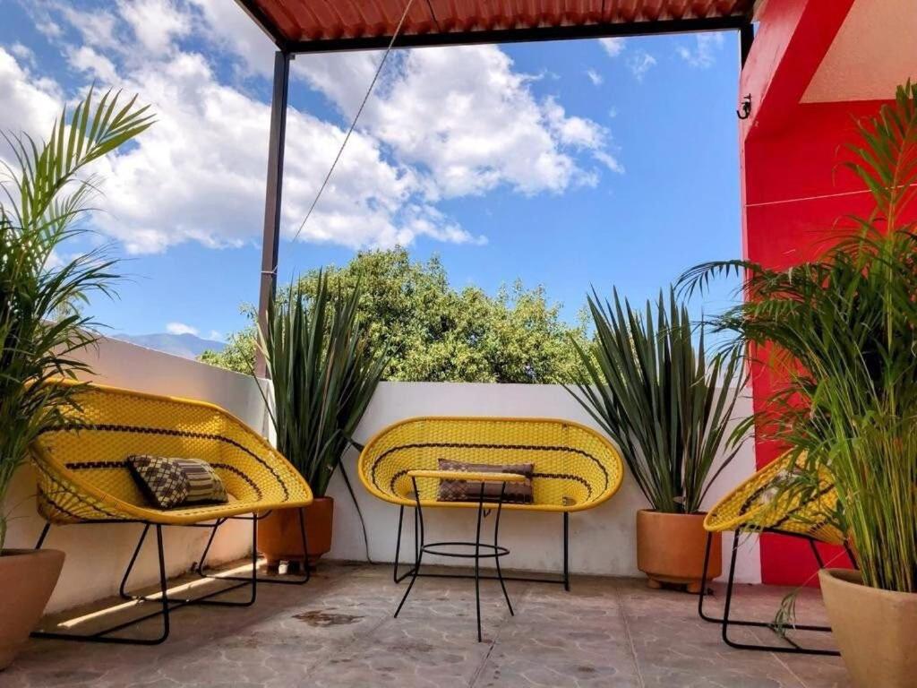 Departamento Zeus 12
