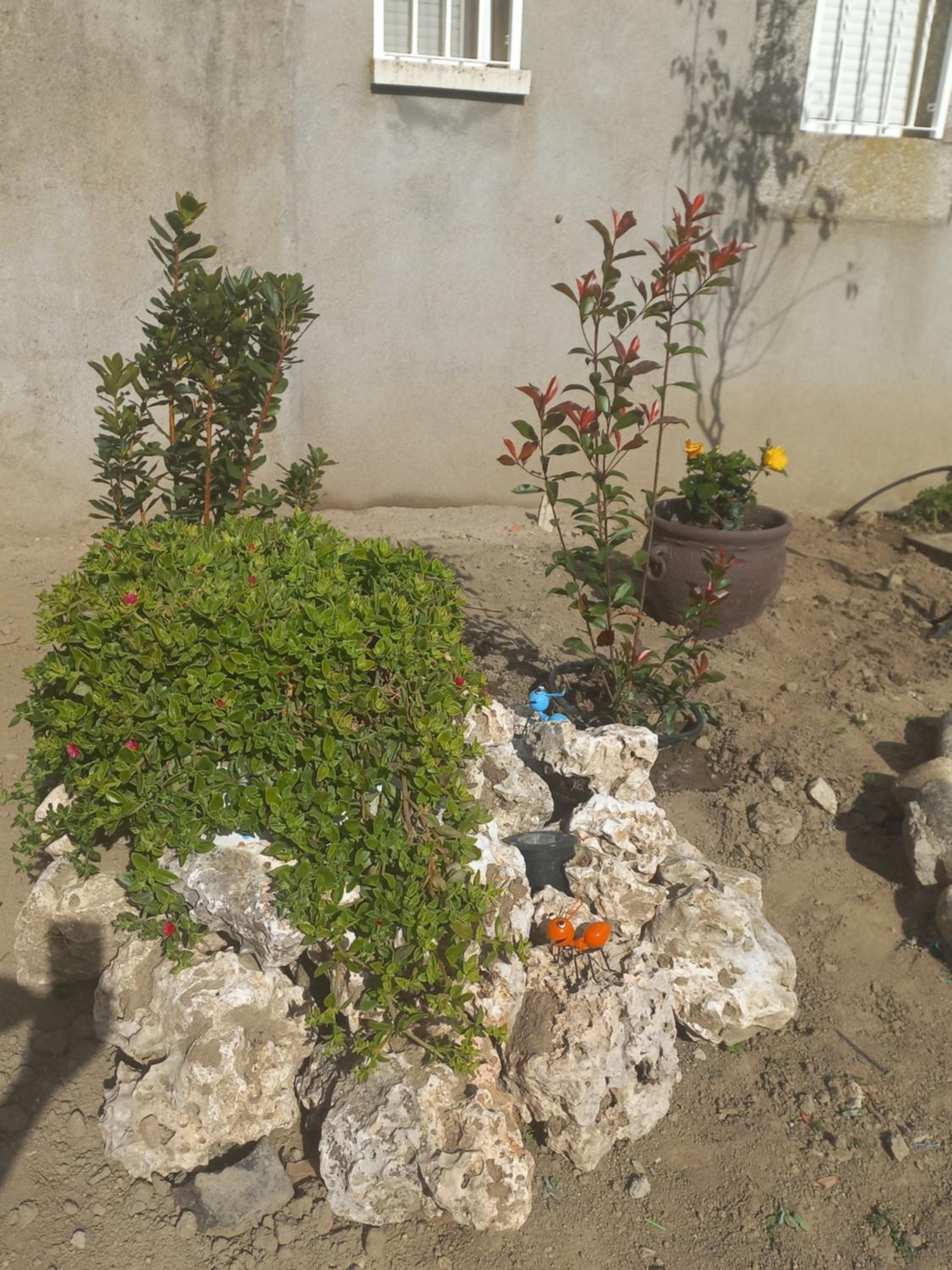 Photo 23