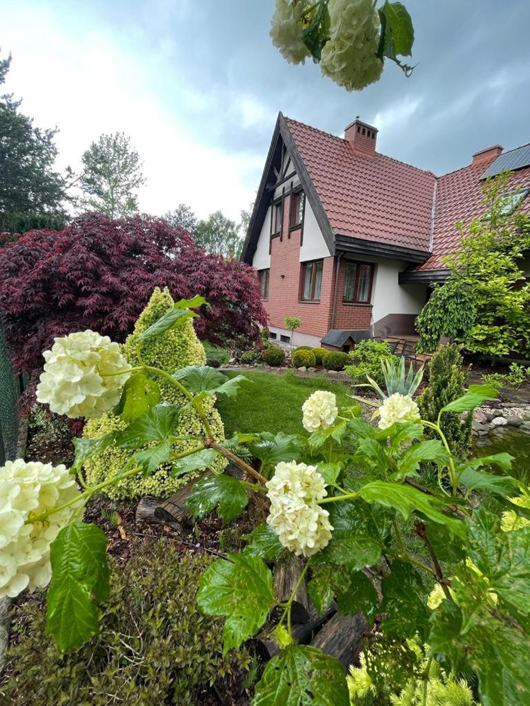 Photo 26