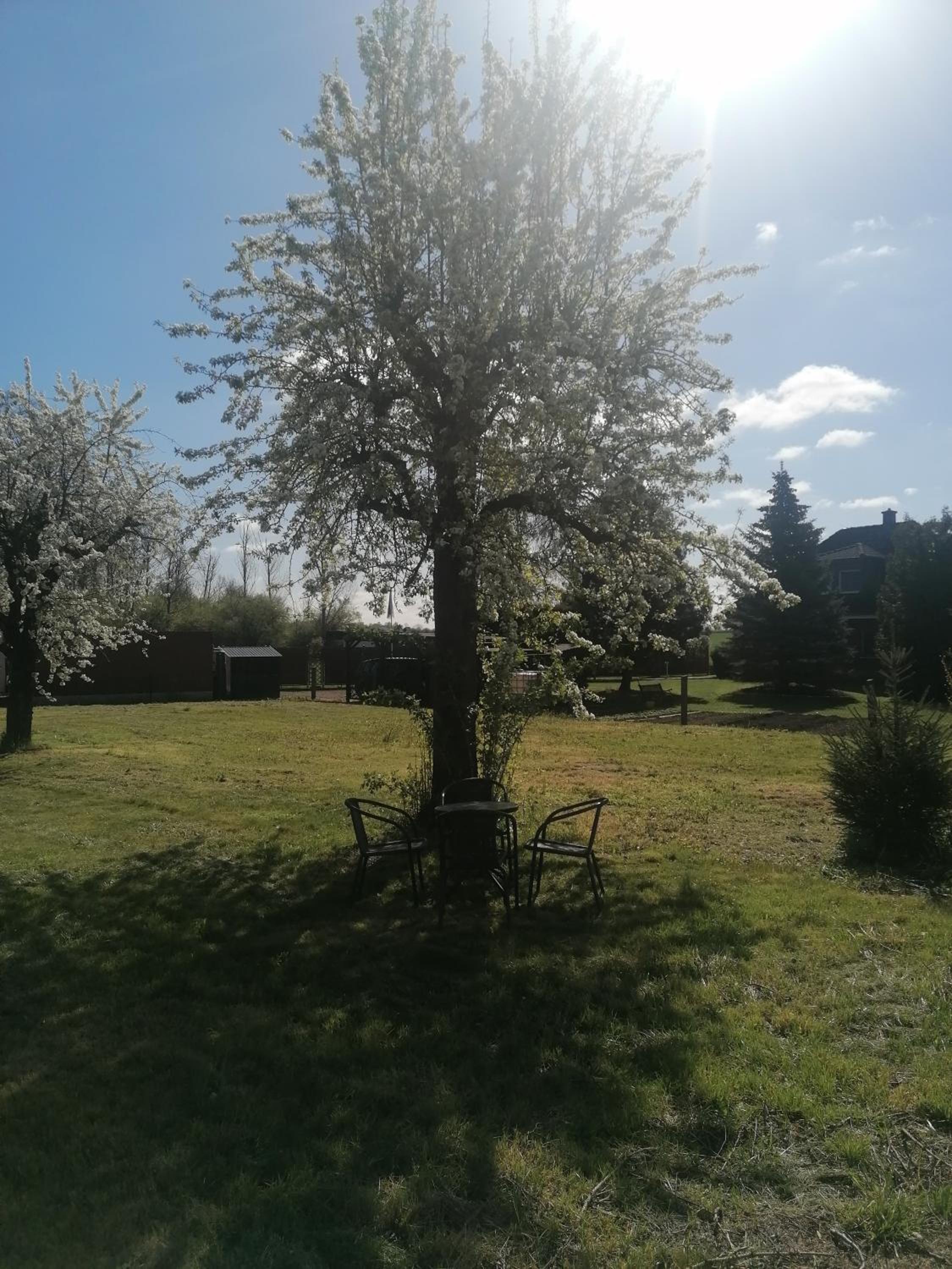 Ferienwohnung III Sarrebriese