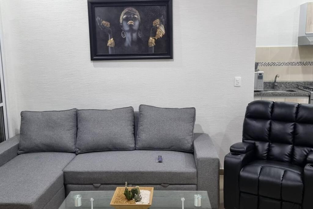 departamento con laguna artificial