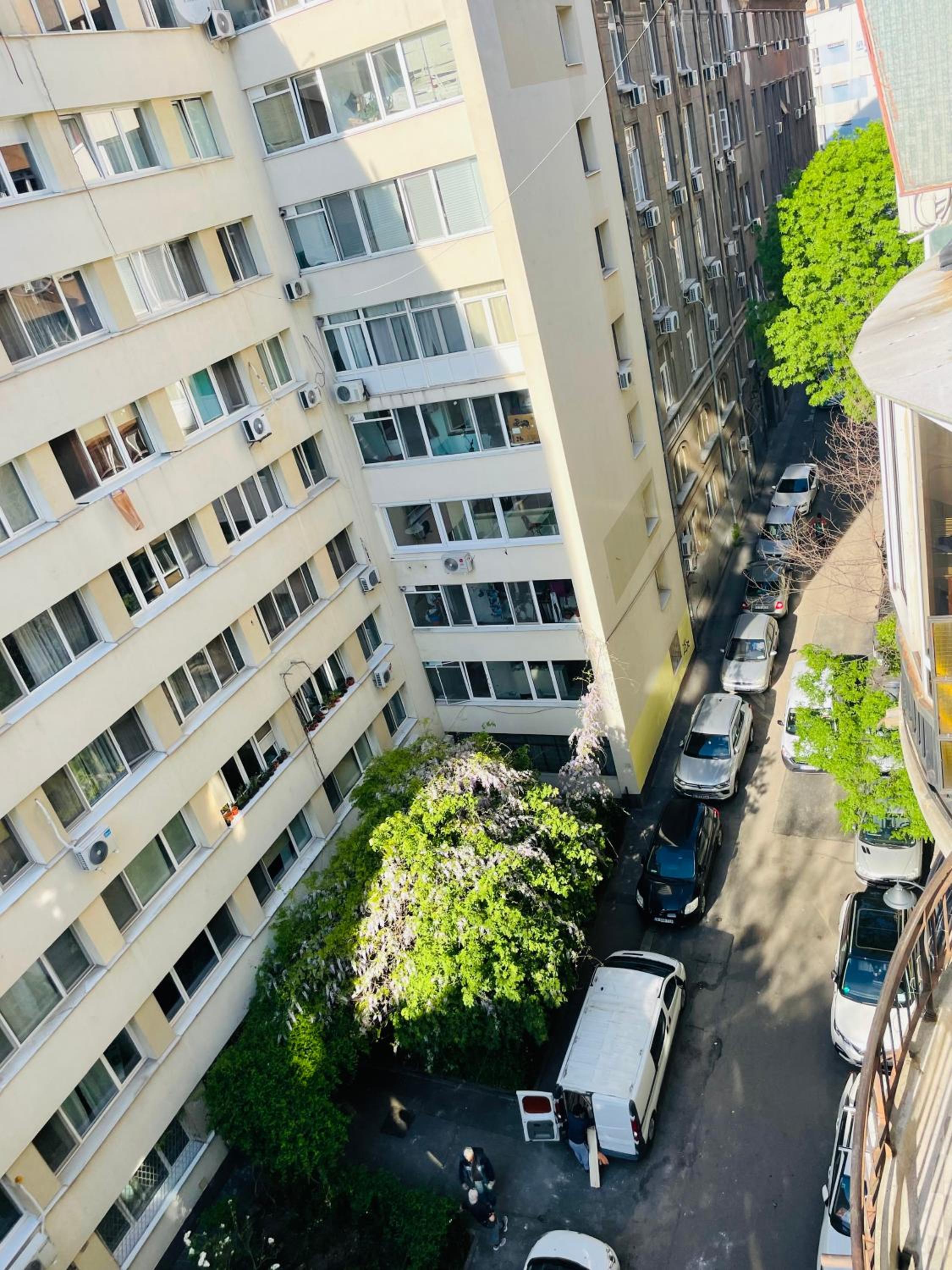 Cismigiu Park View en Bucharest — other