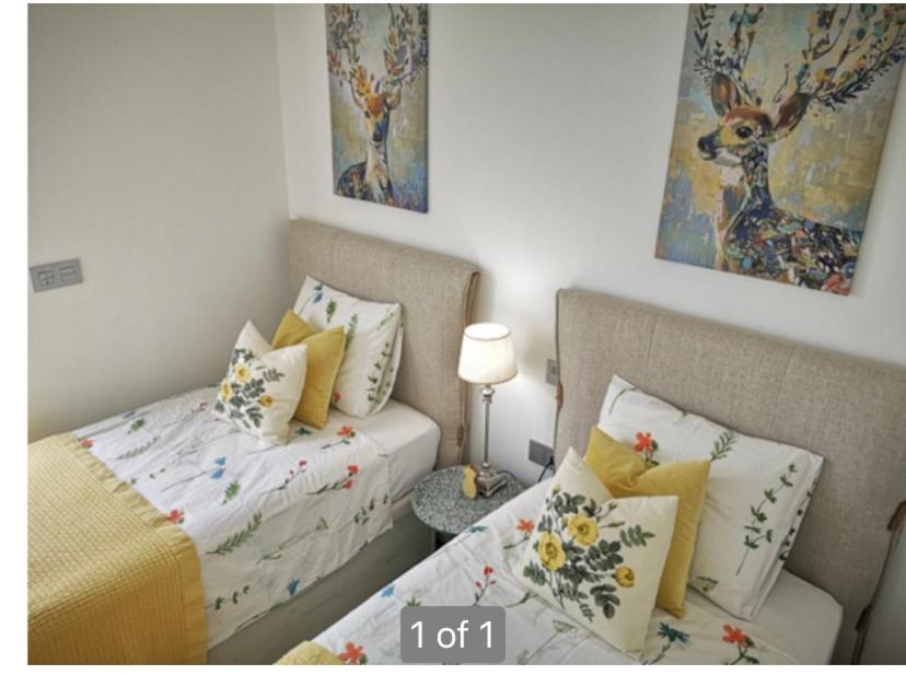 Bahia Homes Torrevieja photo 4