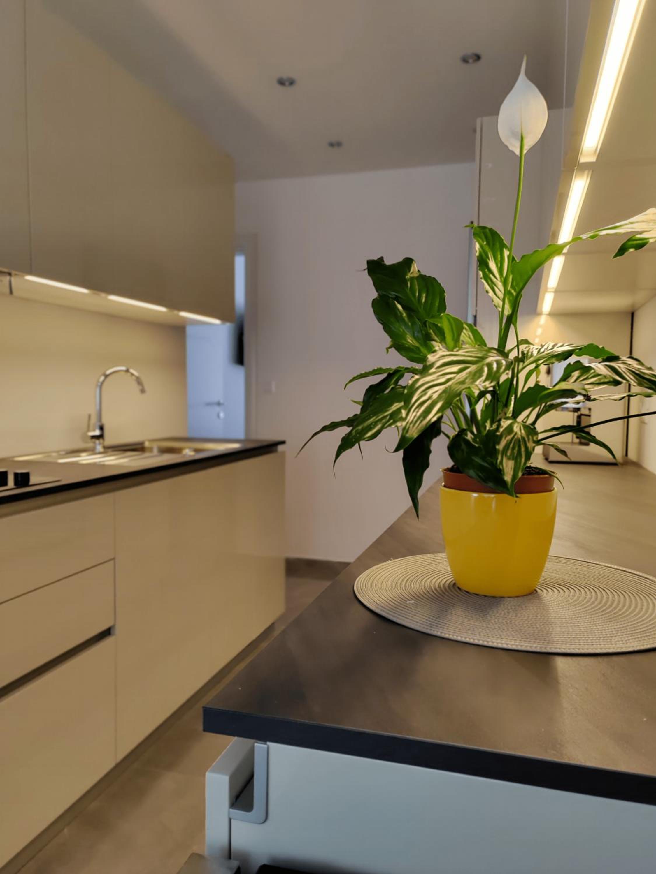Apartment Petar