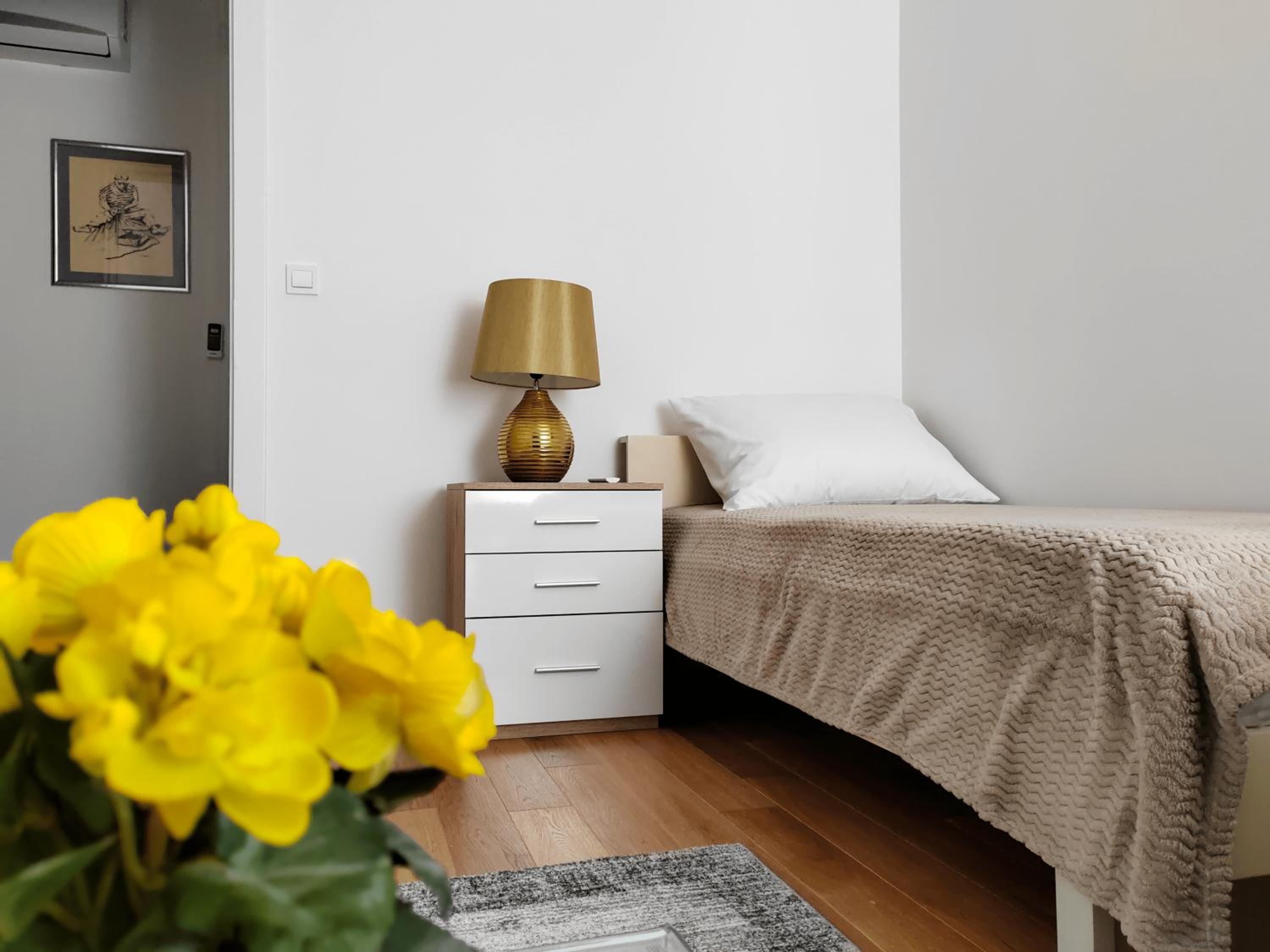Apartment Petar