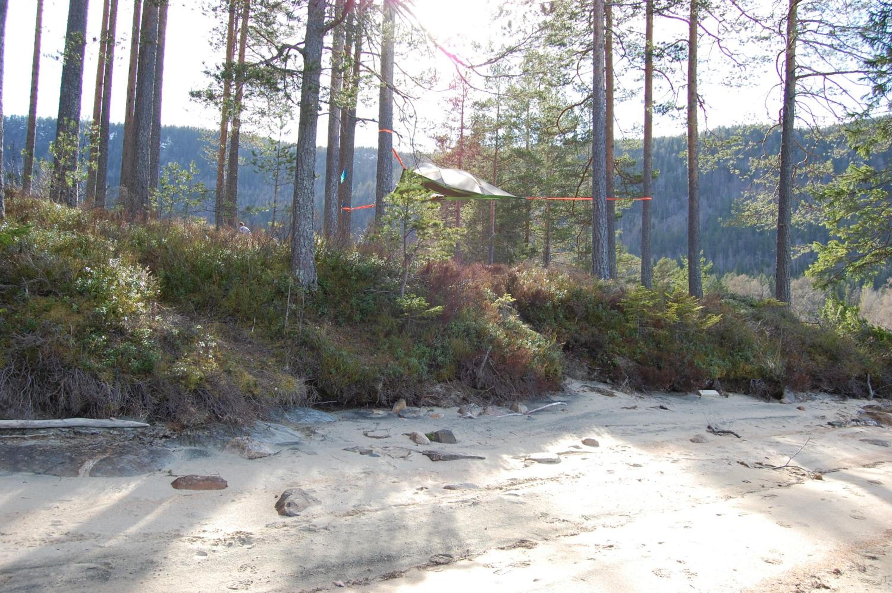 Photo 41