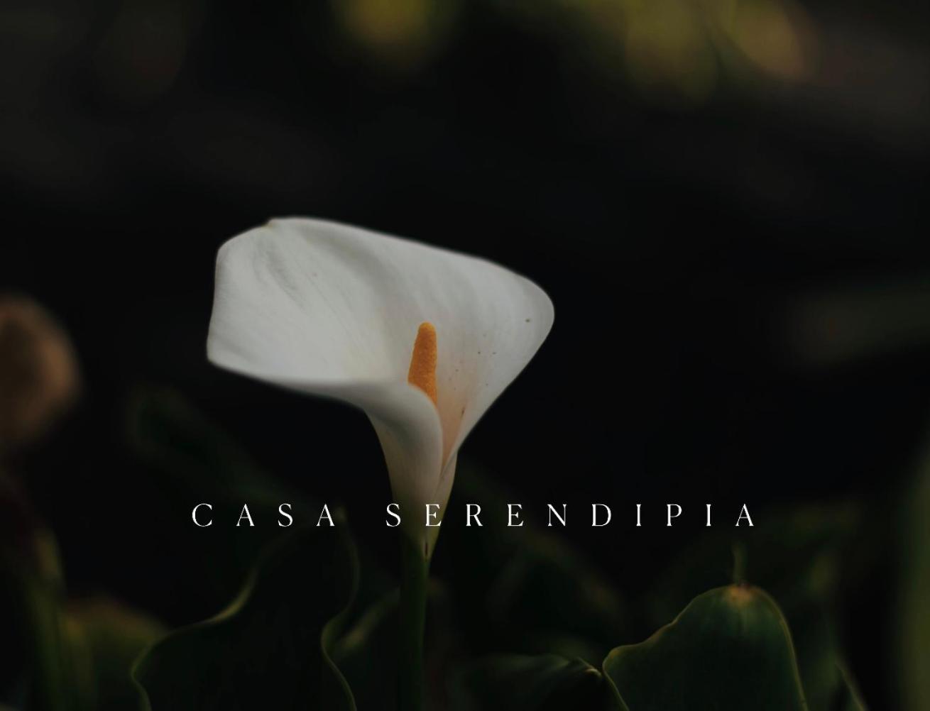Casa Serendipia