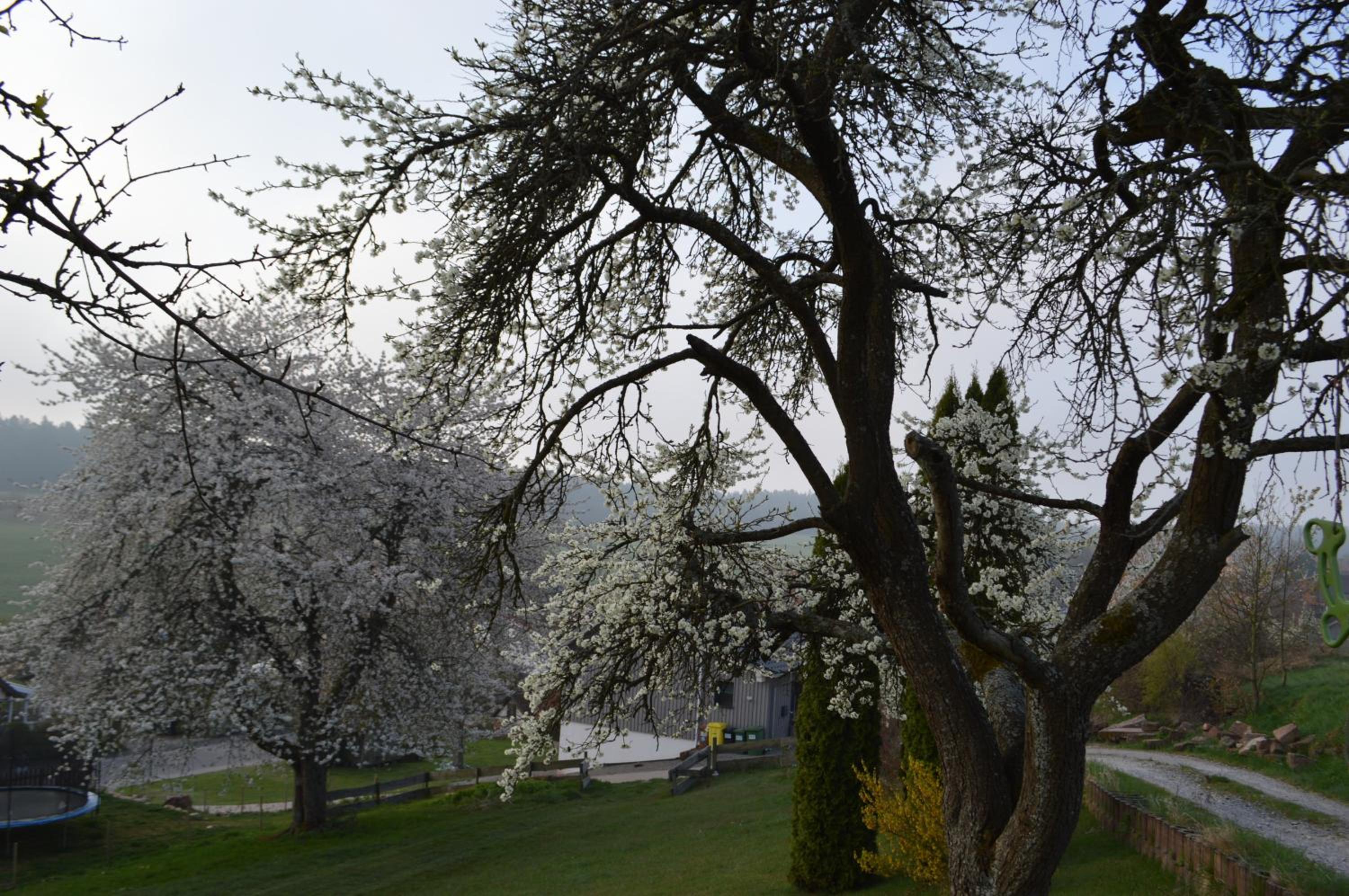 Ausblick Maisenbach