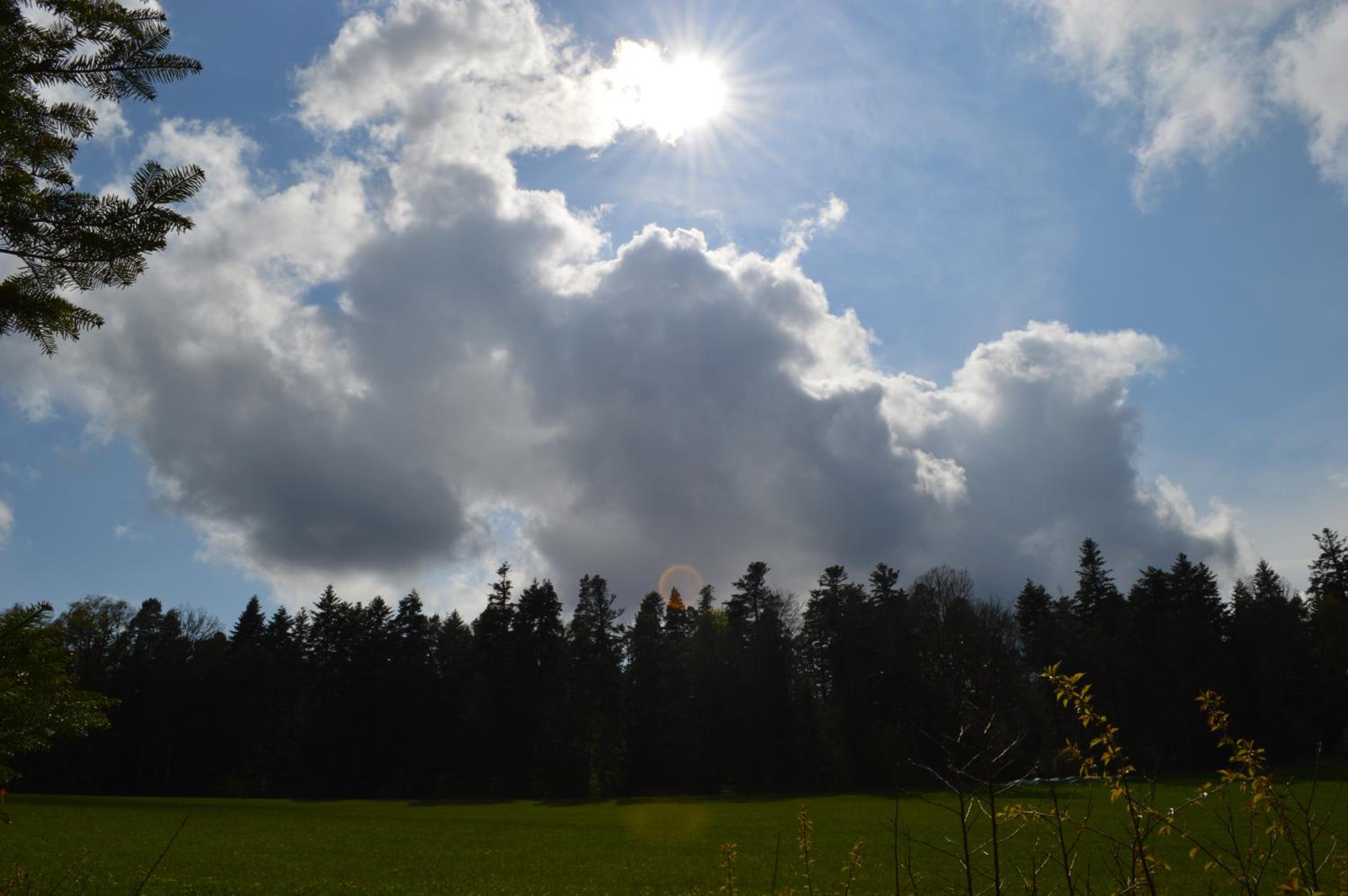 Ausblick Maisenbach