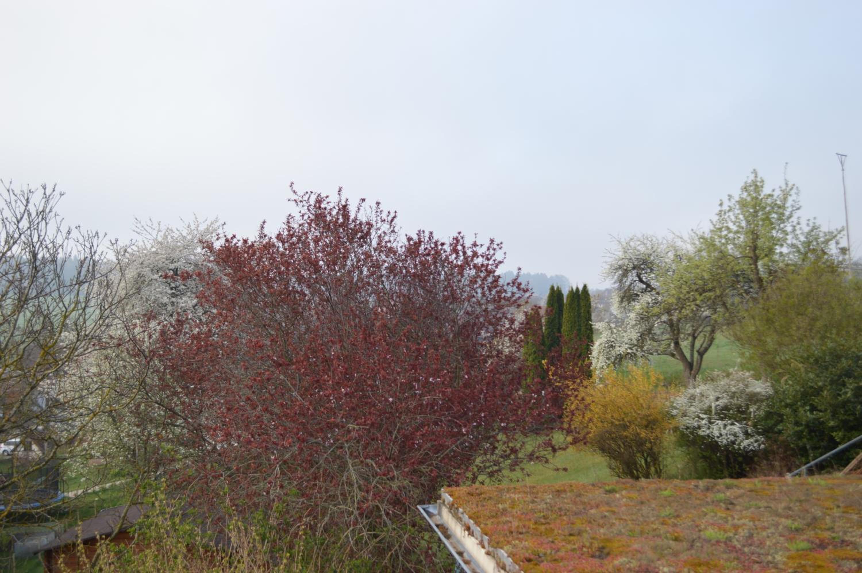 Ausblick Maisenbach