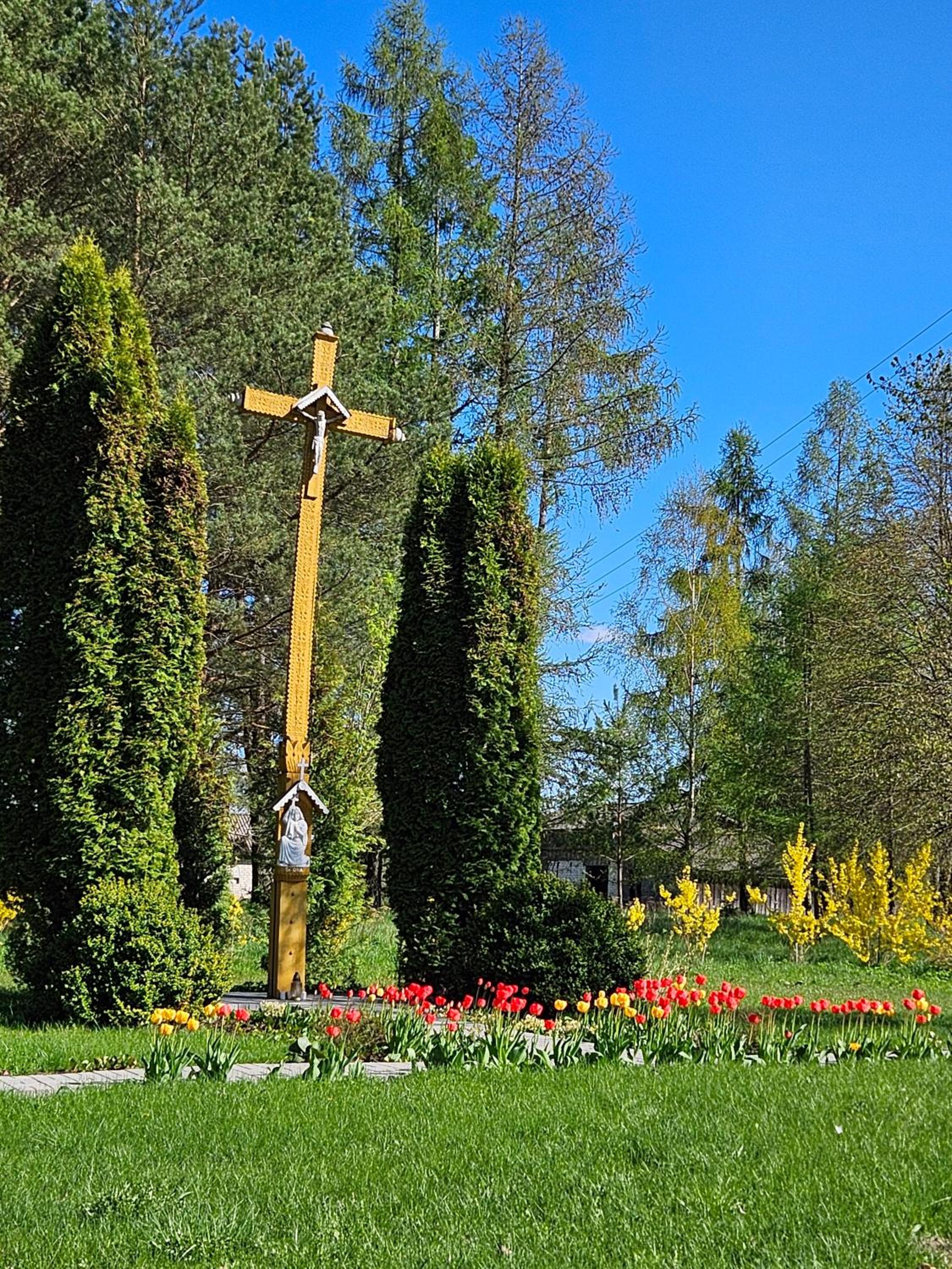 Photo 29