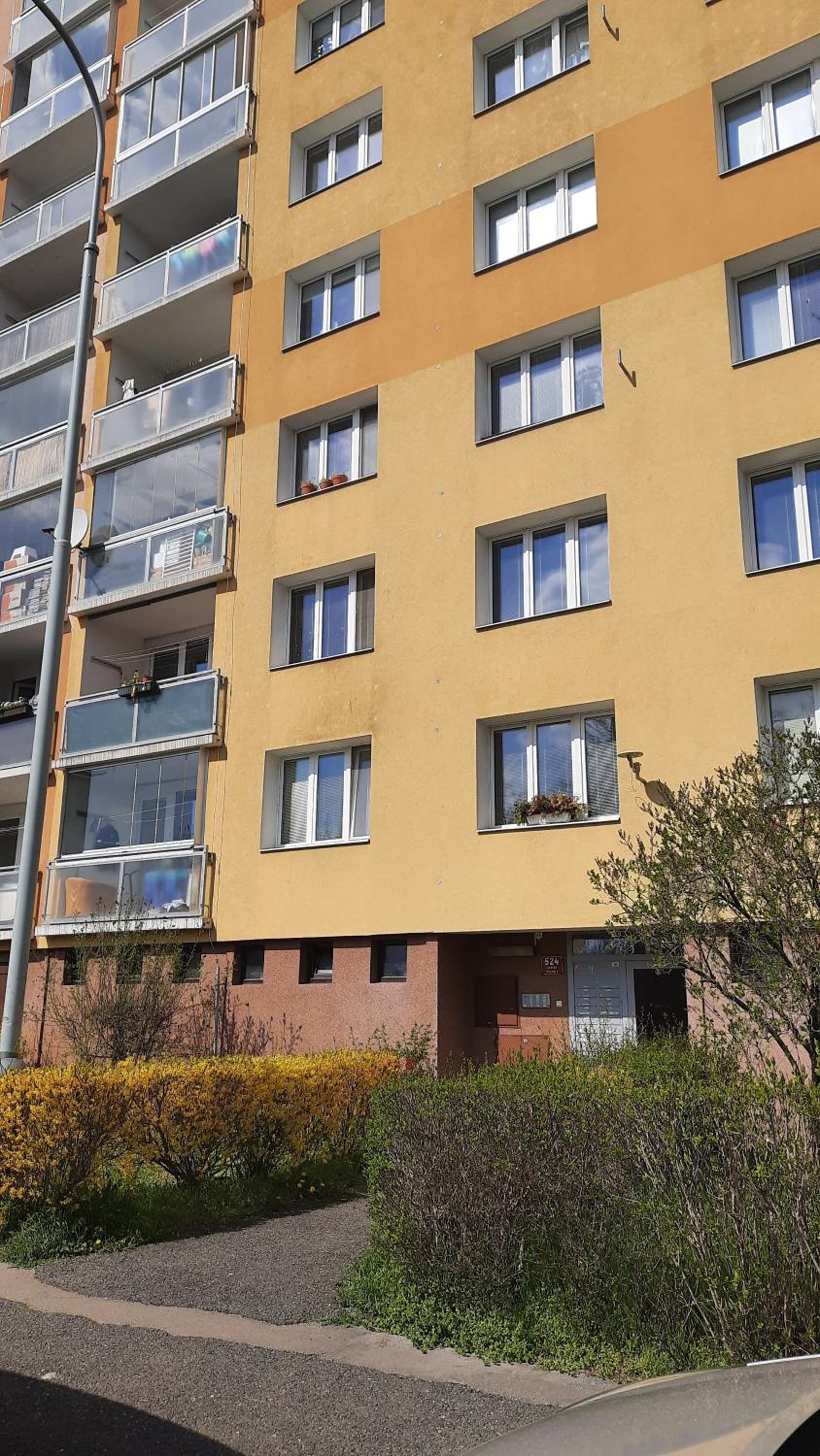 Apartment Kamýk