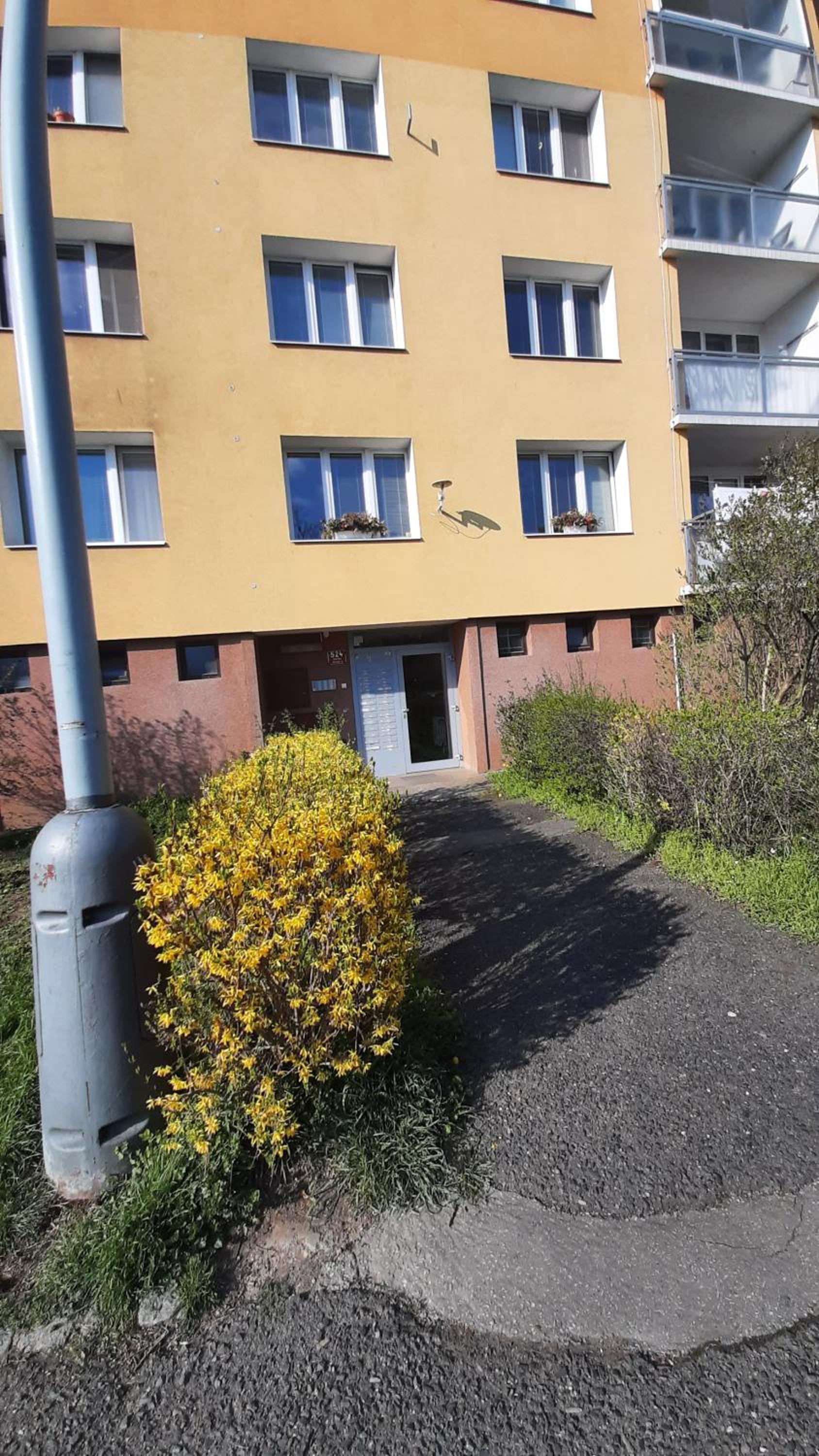 Apartment Kamýk