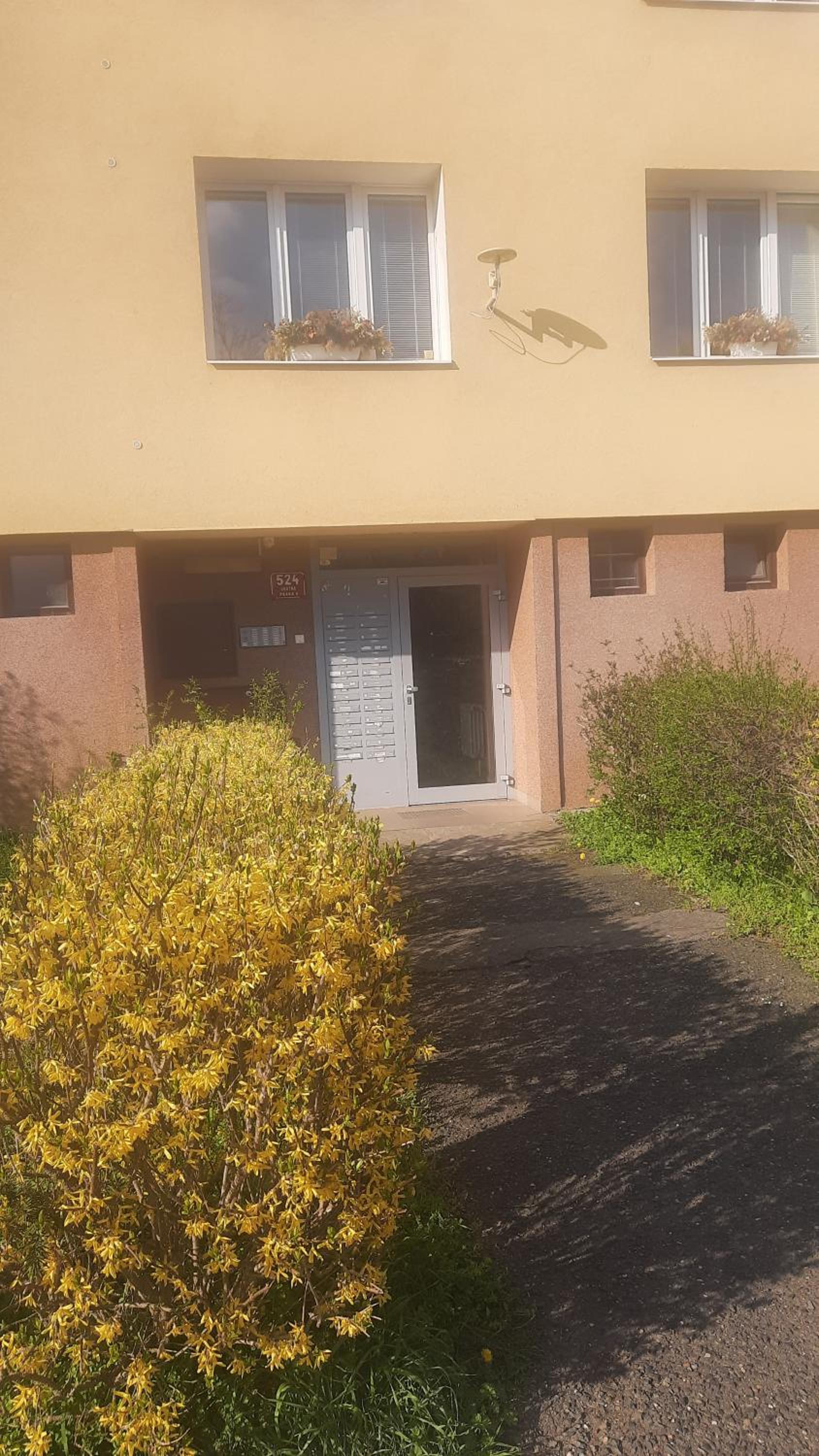 Apartment Kamýk
