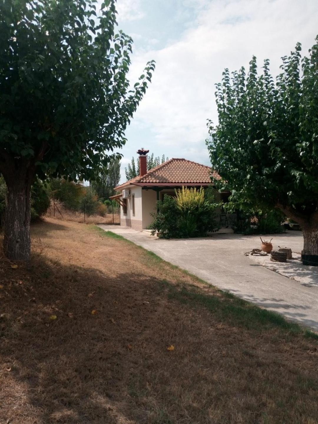 The House in the Mulberries Trees view 2
