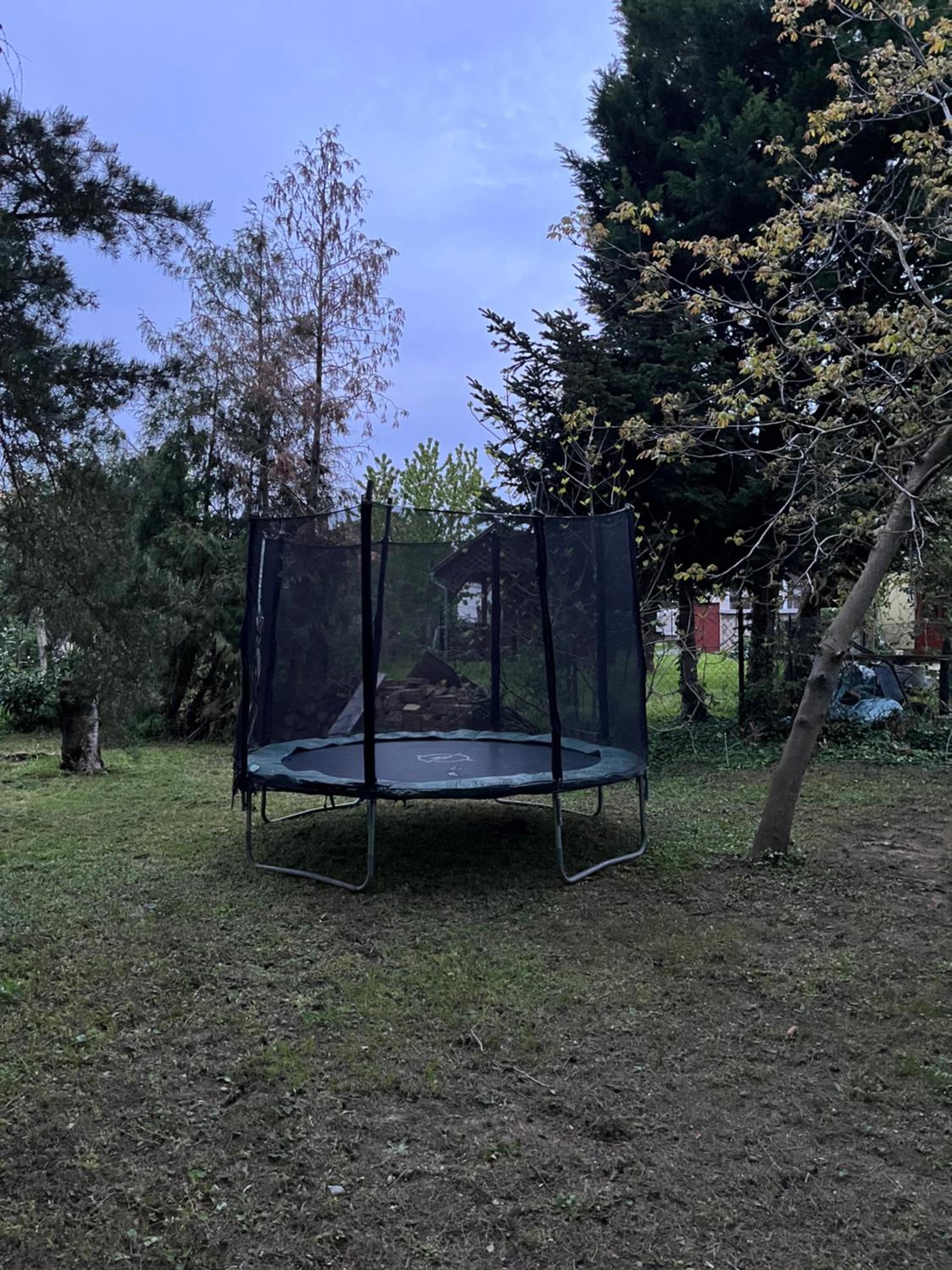 Photo 17