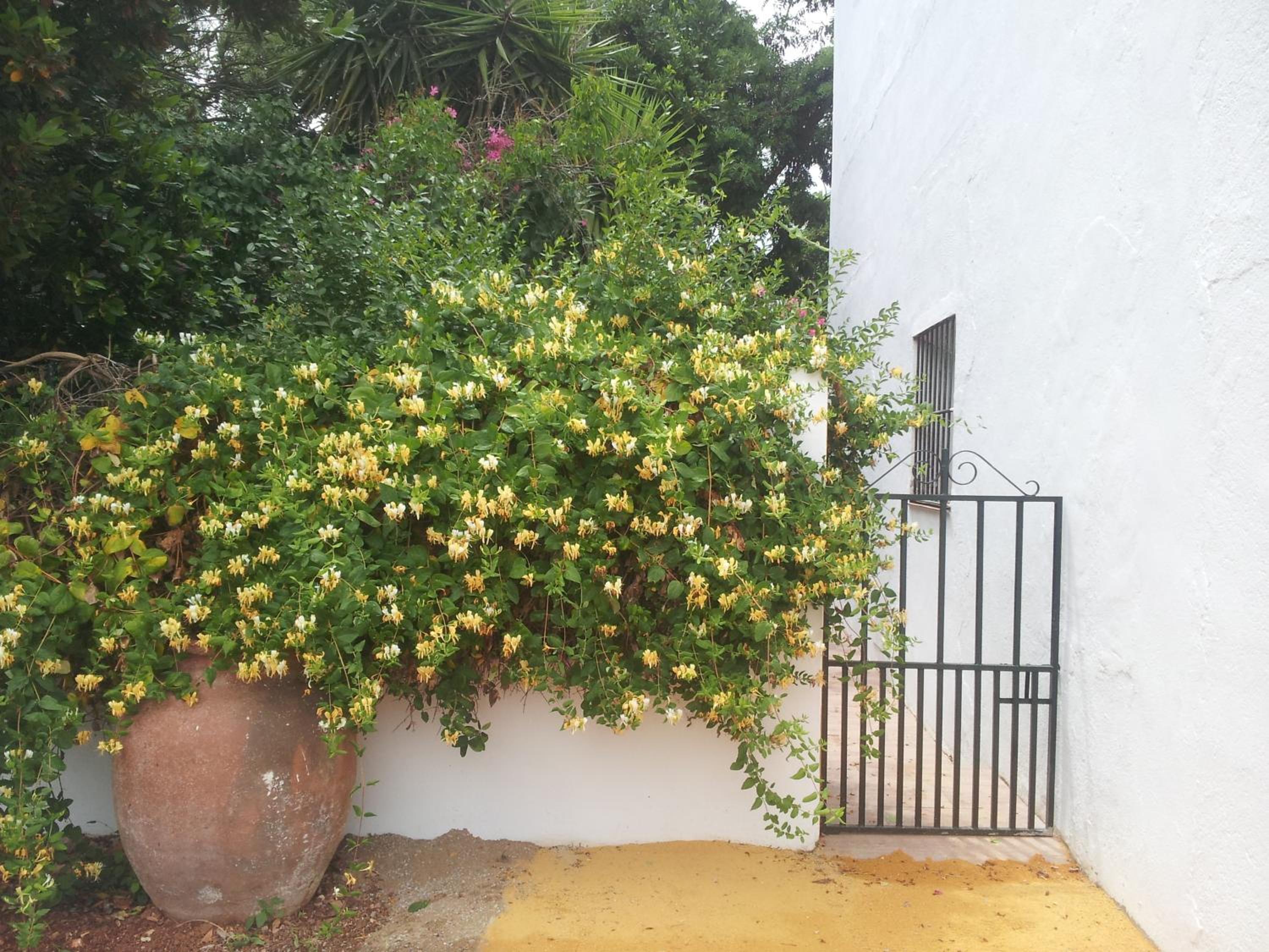Cortijo de Vega Grande