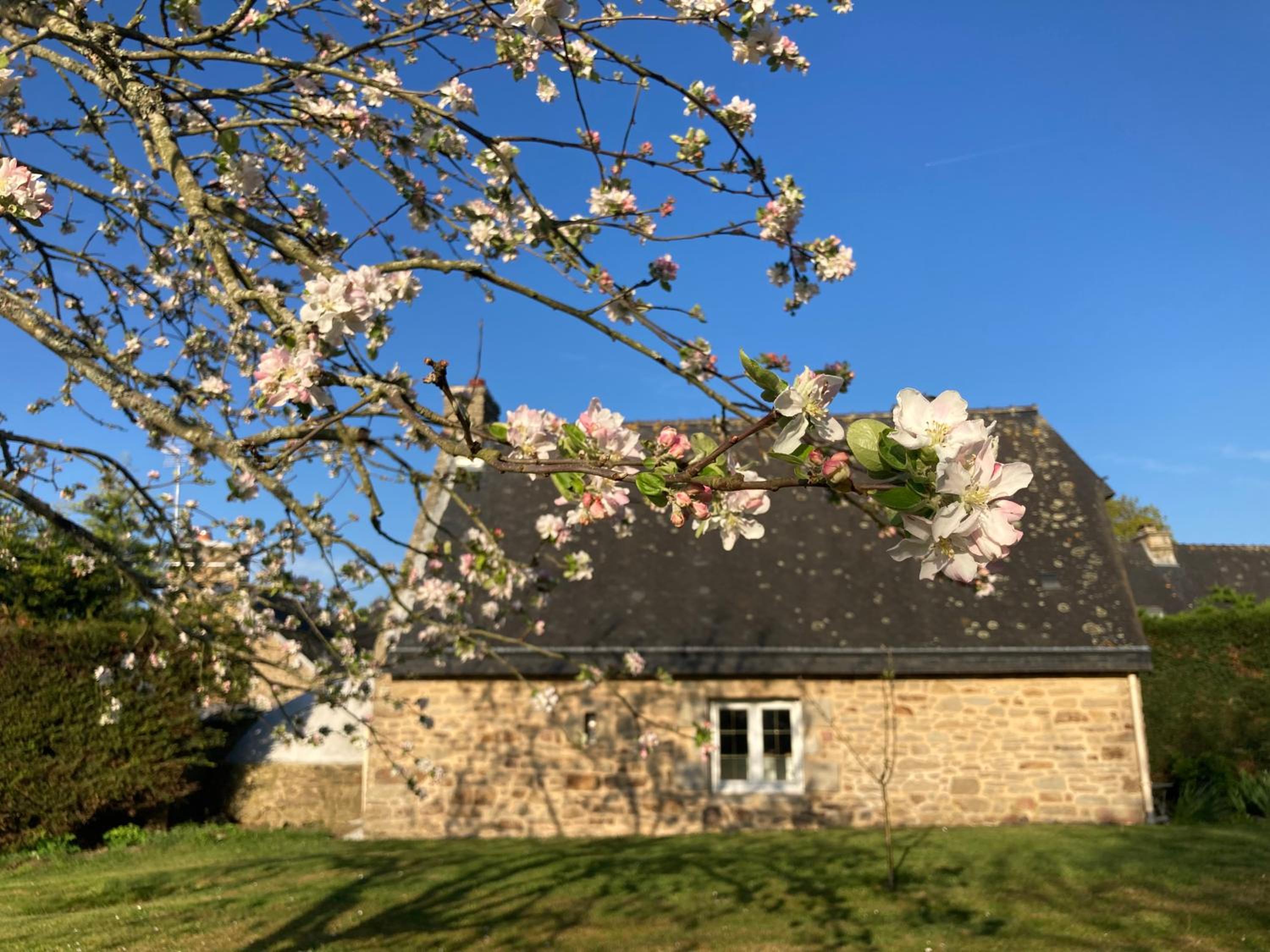 Le Clos de Kermadec, photo 15