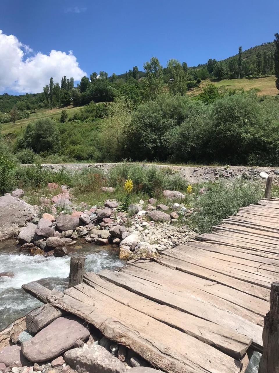 Bujtina Gjana