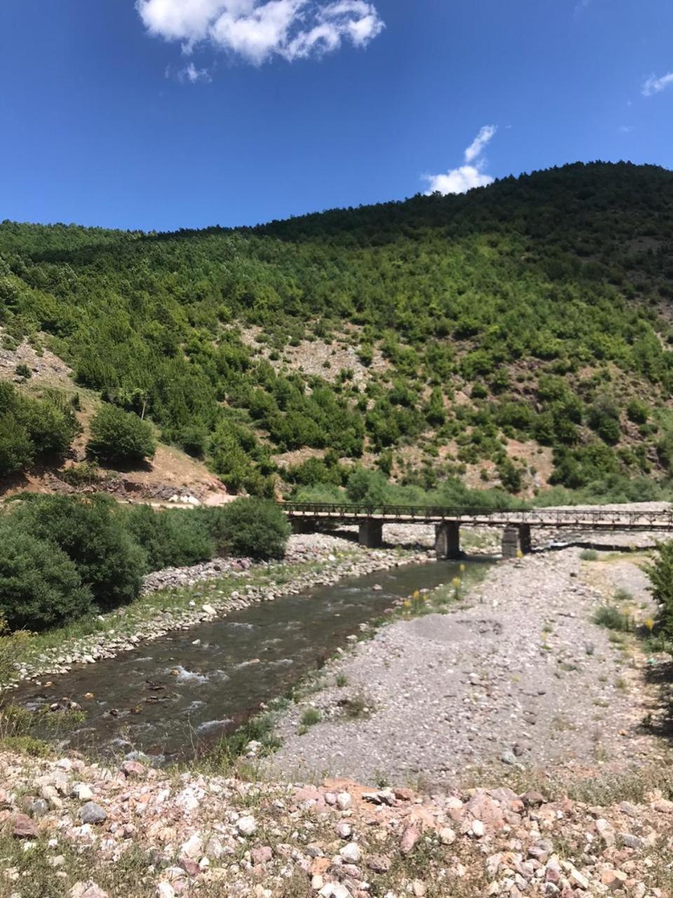 Bujtina Gjana