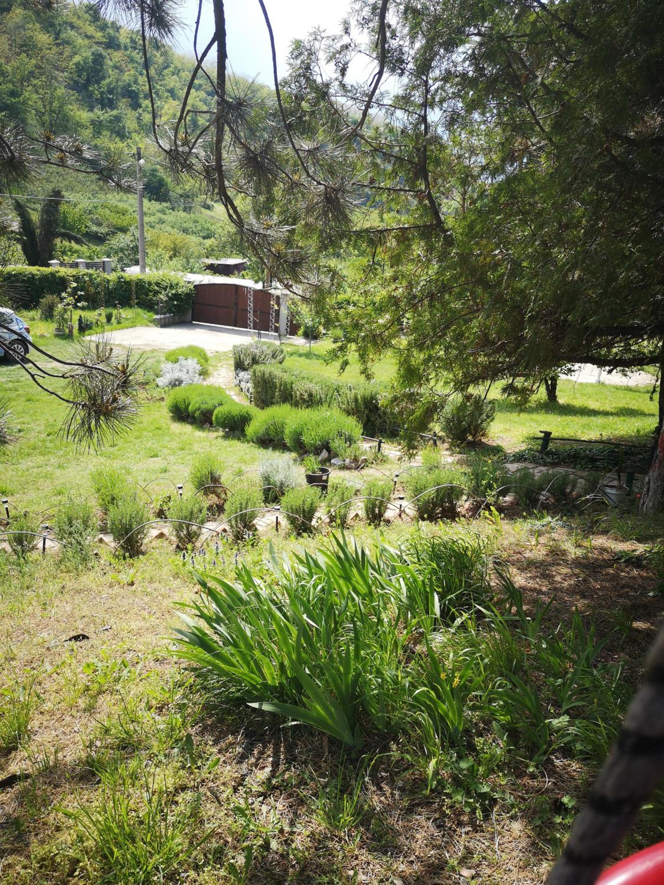 Photo 20