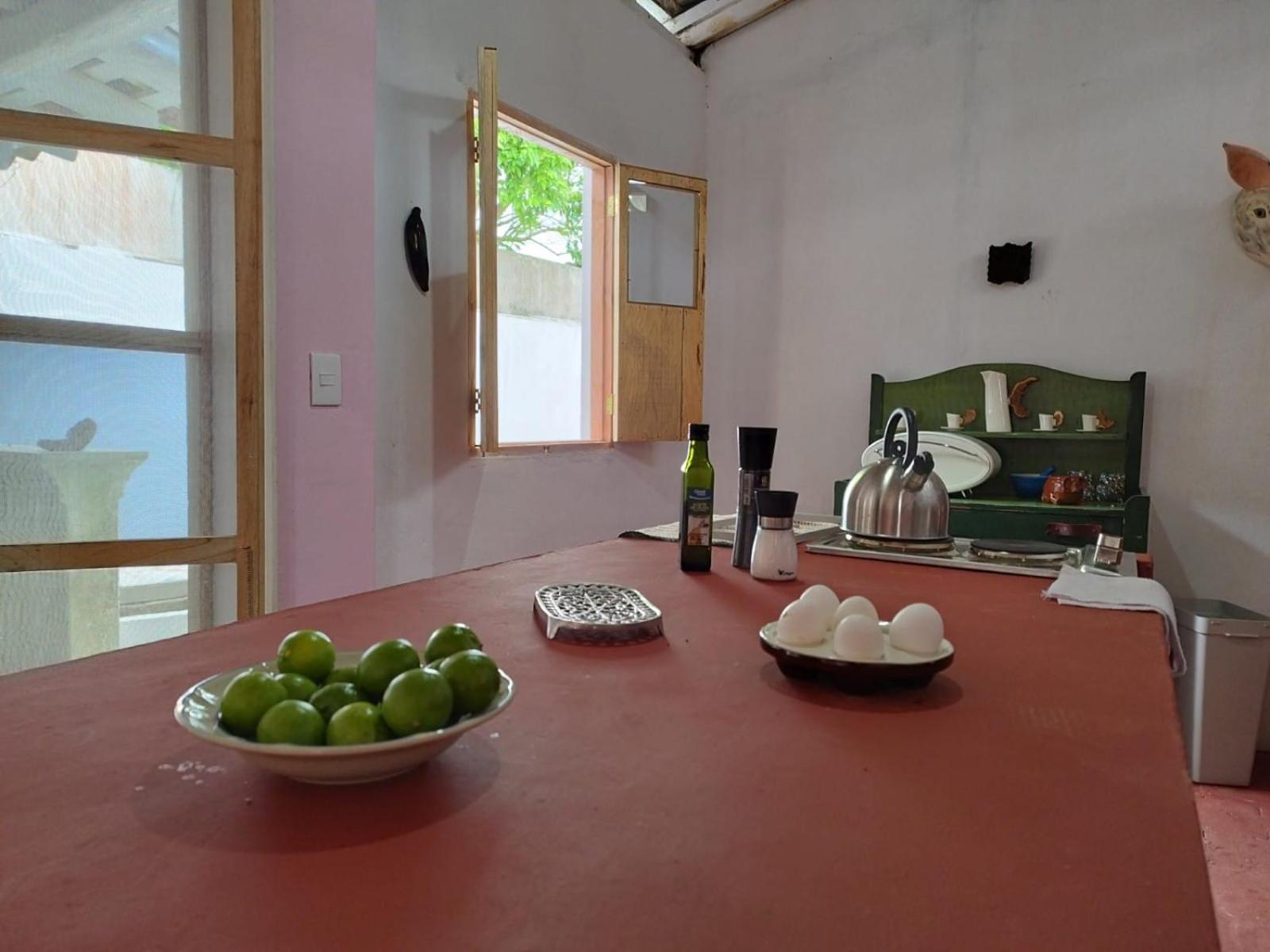Casa La Escondida Tlacotalpan