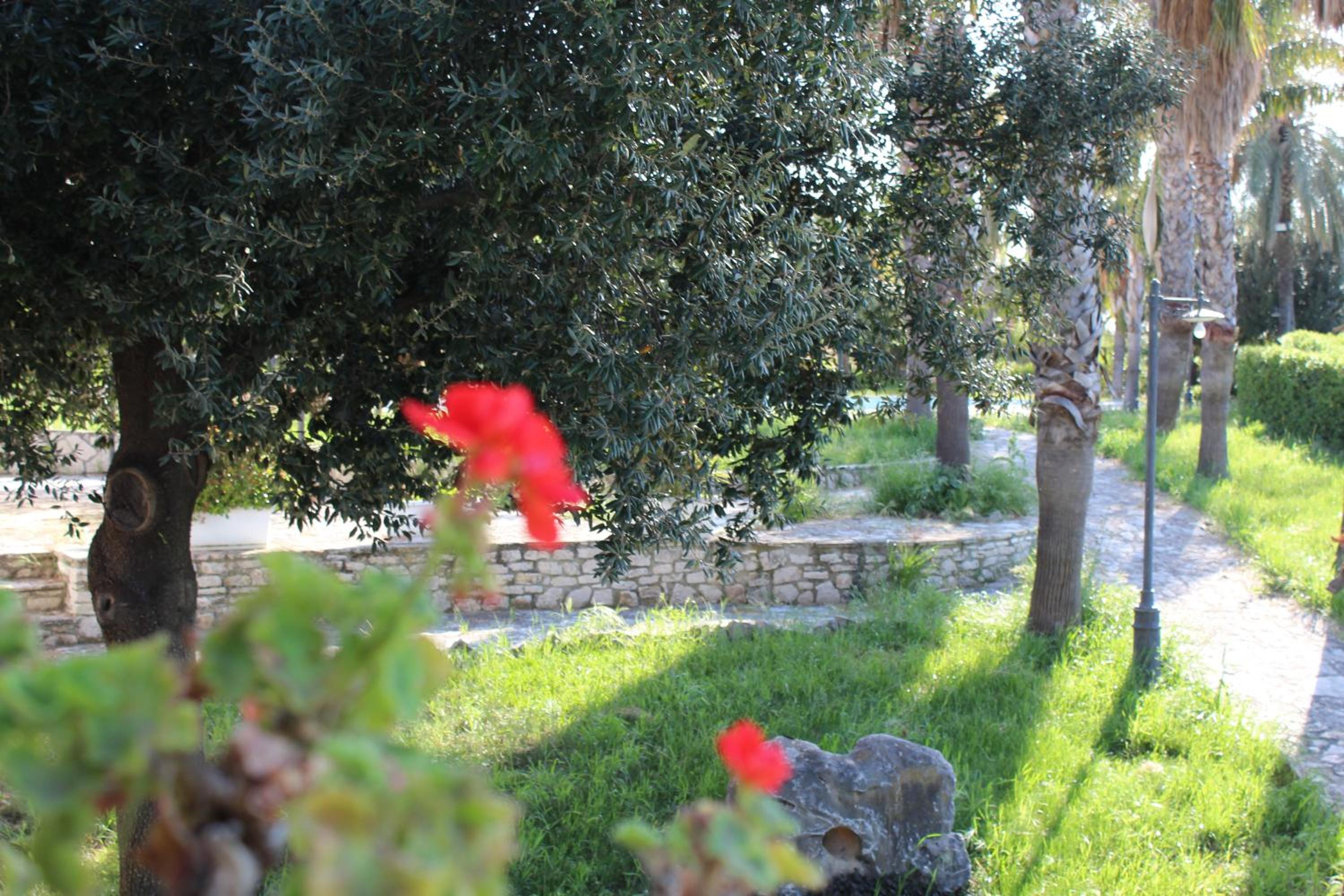 Photo 48