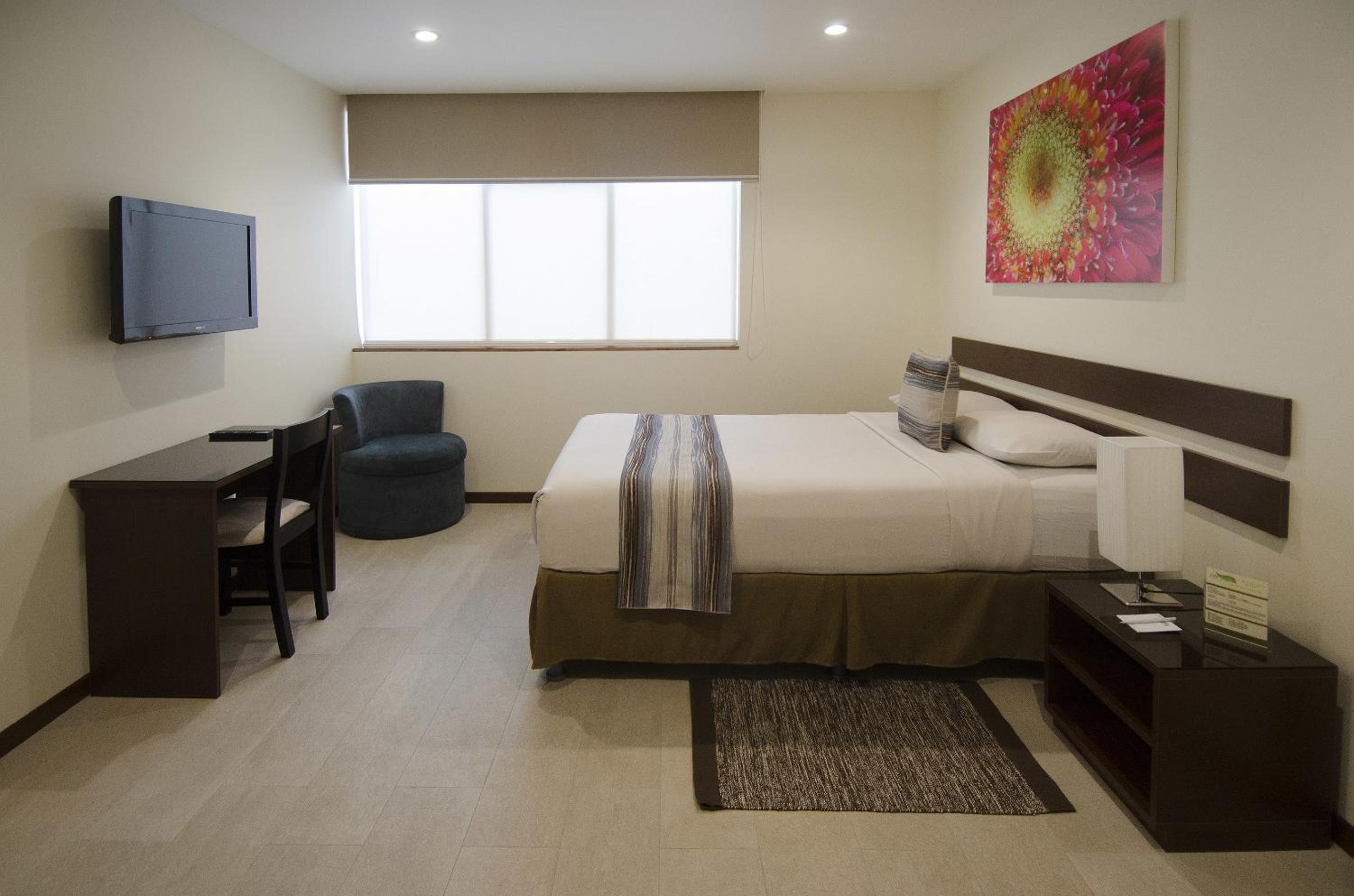Isla Verde Hotel - Property Image 15