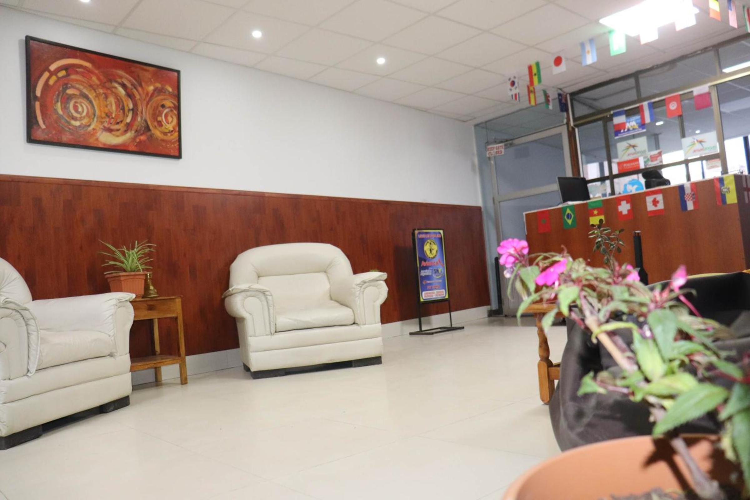 Lobo Hostel La Paz