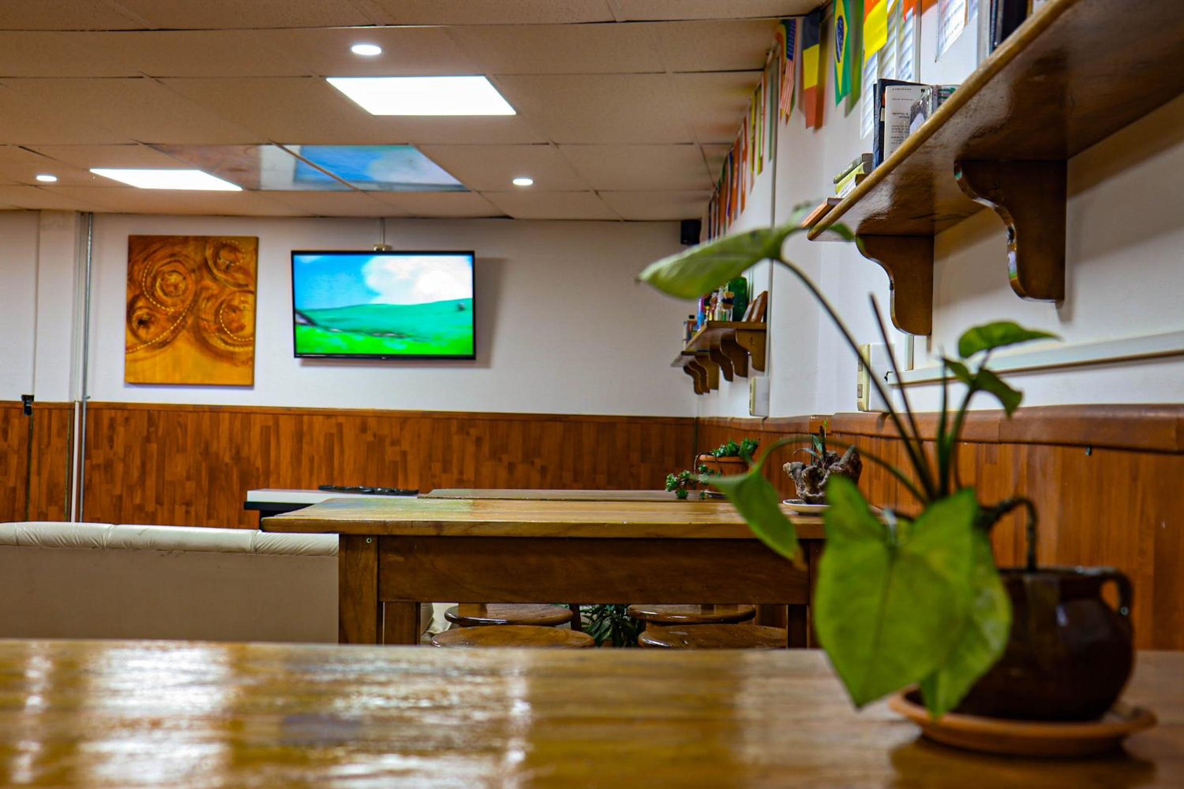 Lobo Hostel La Paz