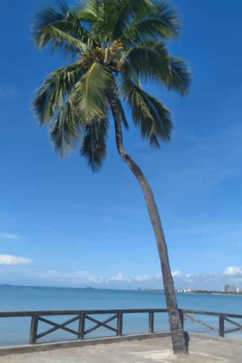Apartamento Ponta Verde - Beira Mar