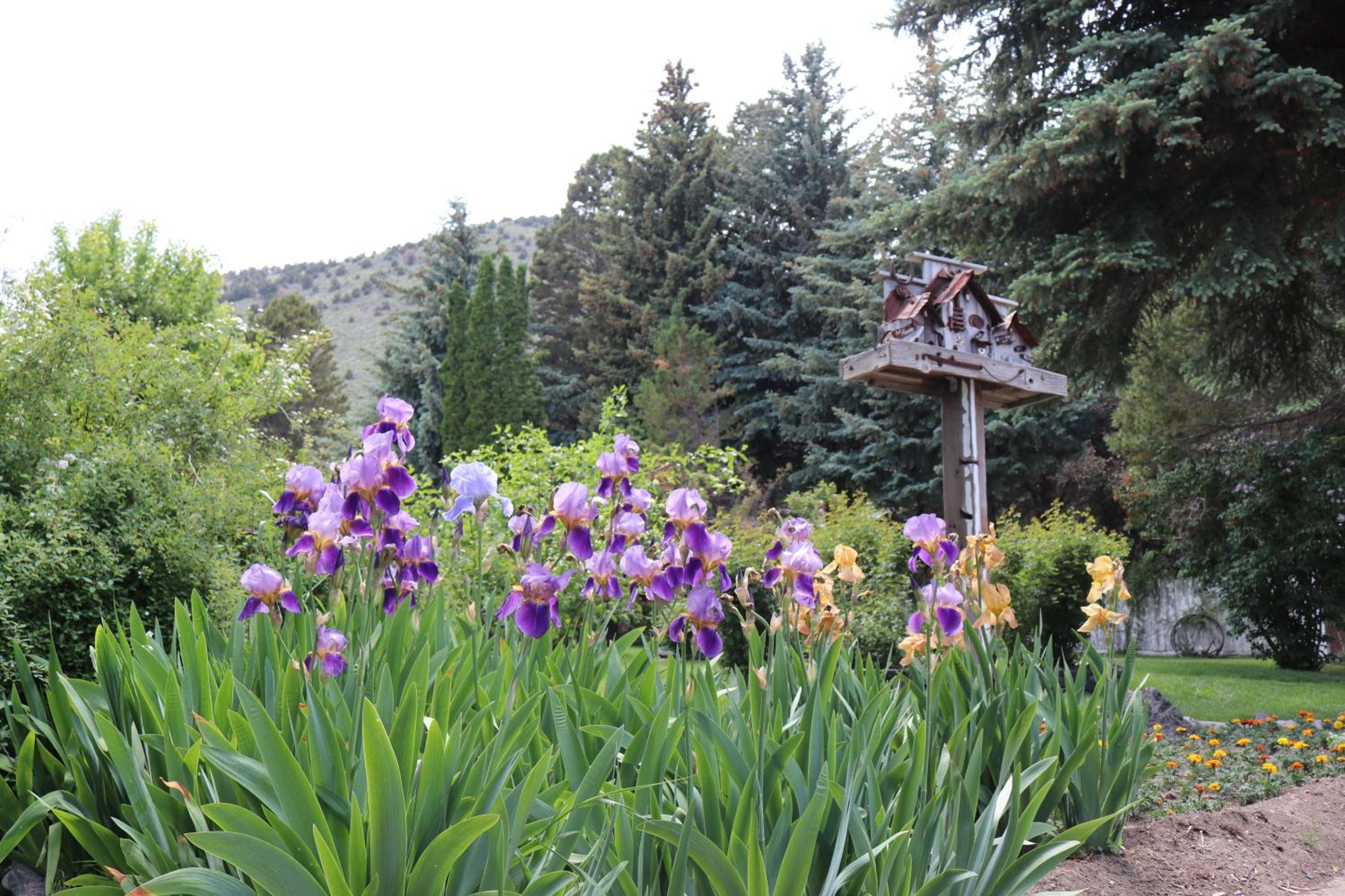 Lake View Lodge