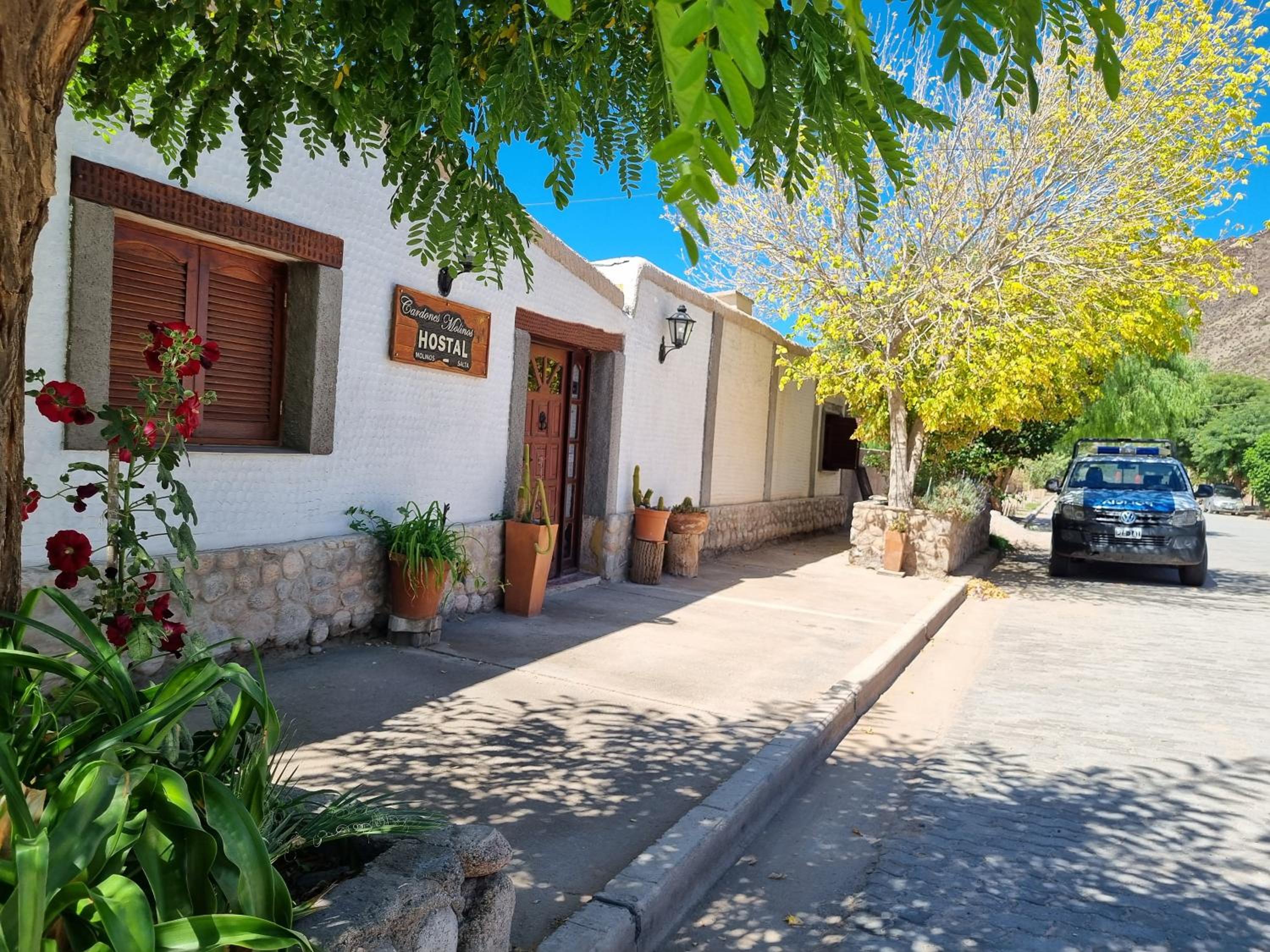 Cardones de Molinos